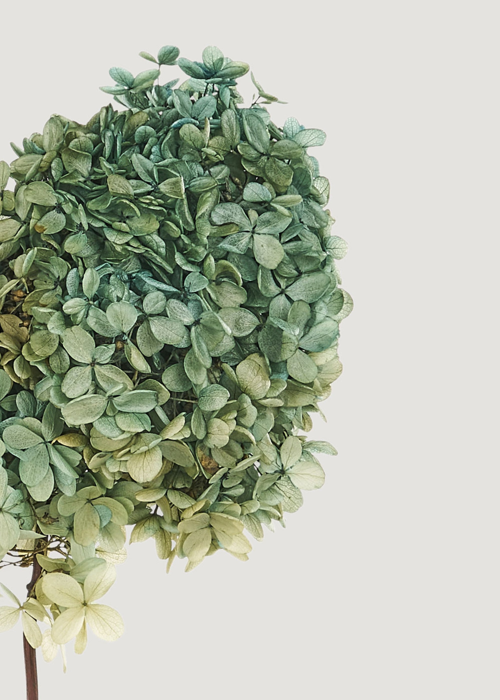 Green Faux Hydrangea Bundle for Vase and Wedding Styling