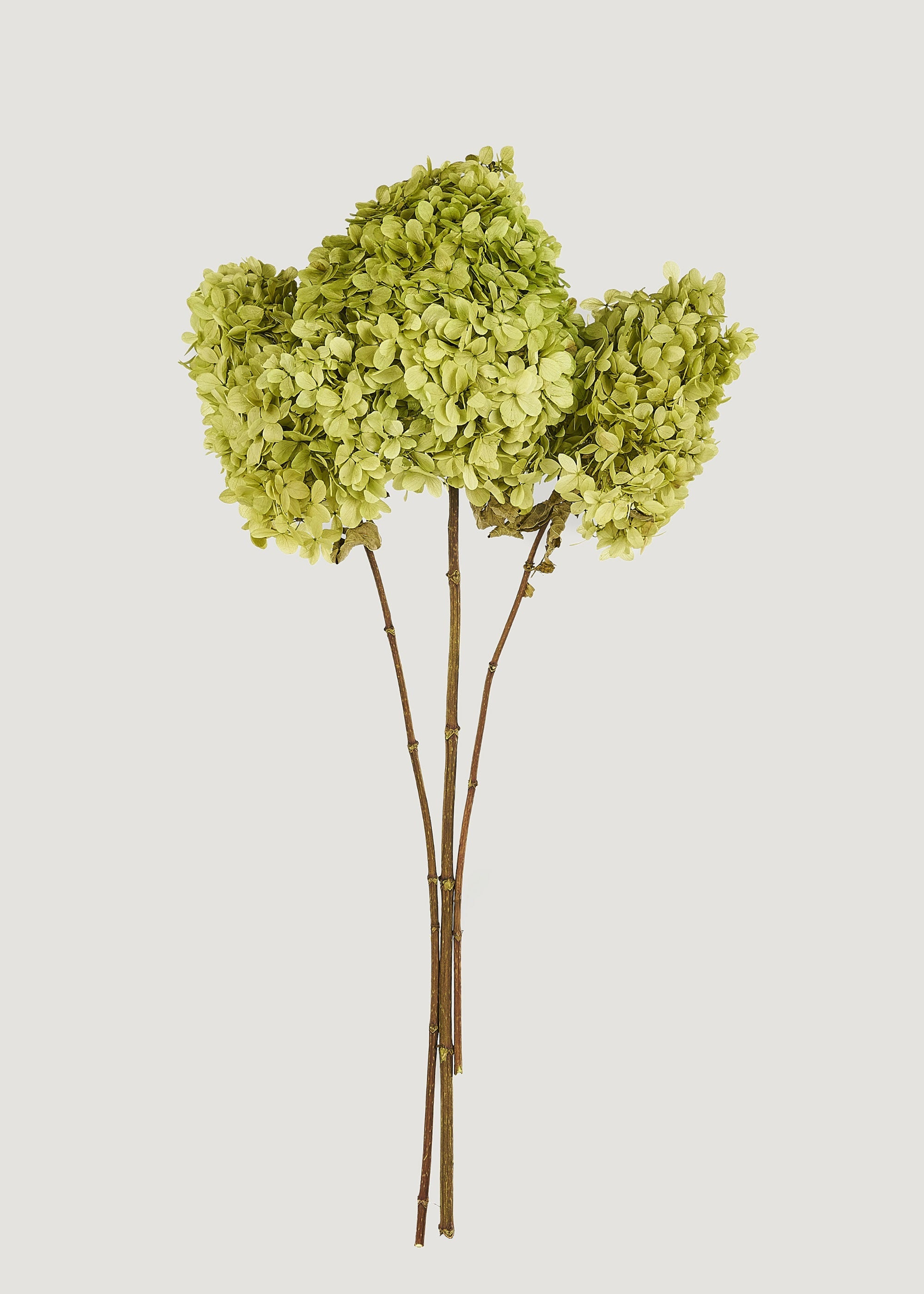Green Faux Hydrangea Bundle for Vase and Wedding Styling