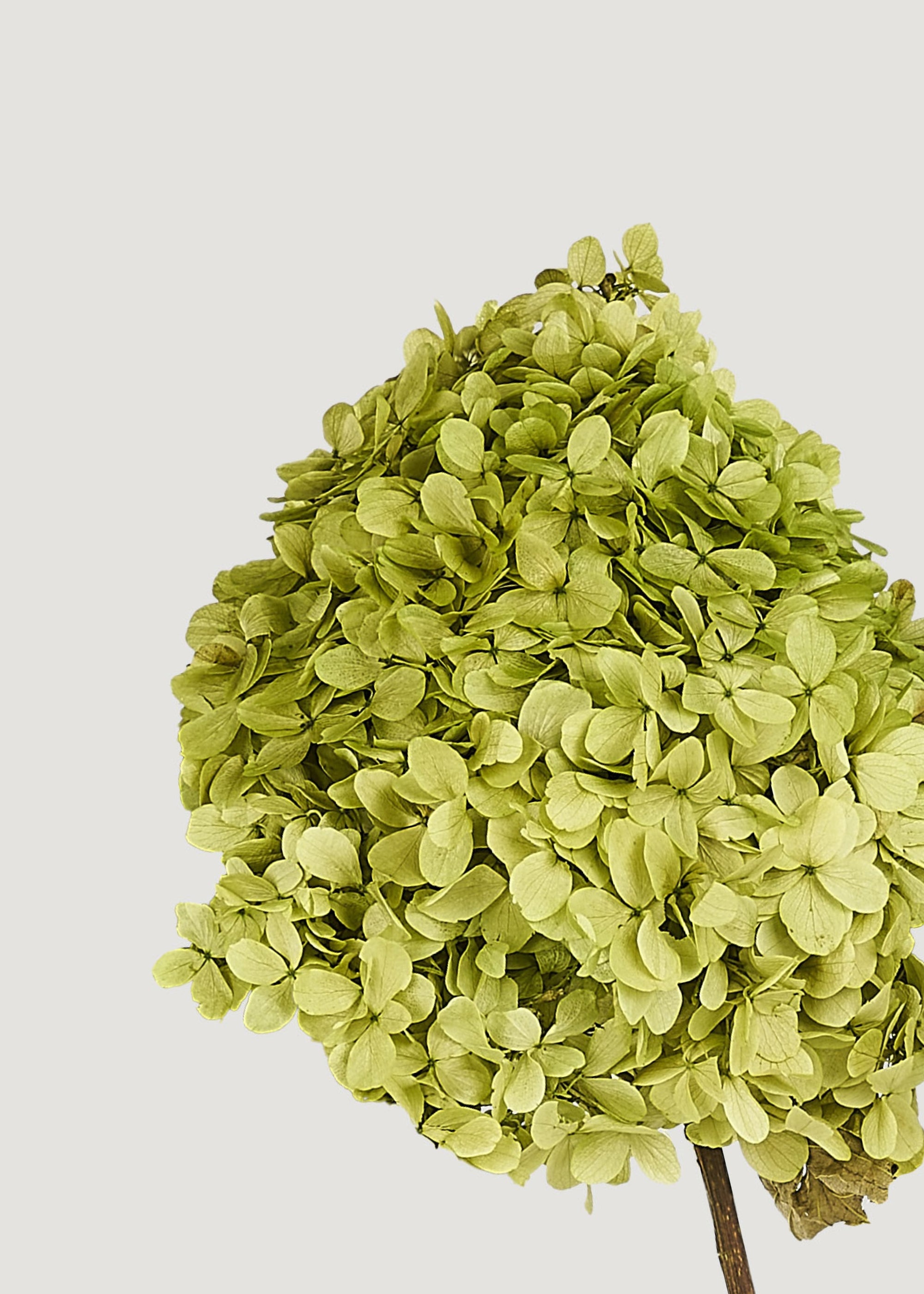 Green Faux Hydrangea Bundle for Vase and Wedding Styling