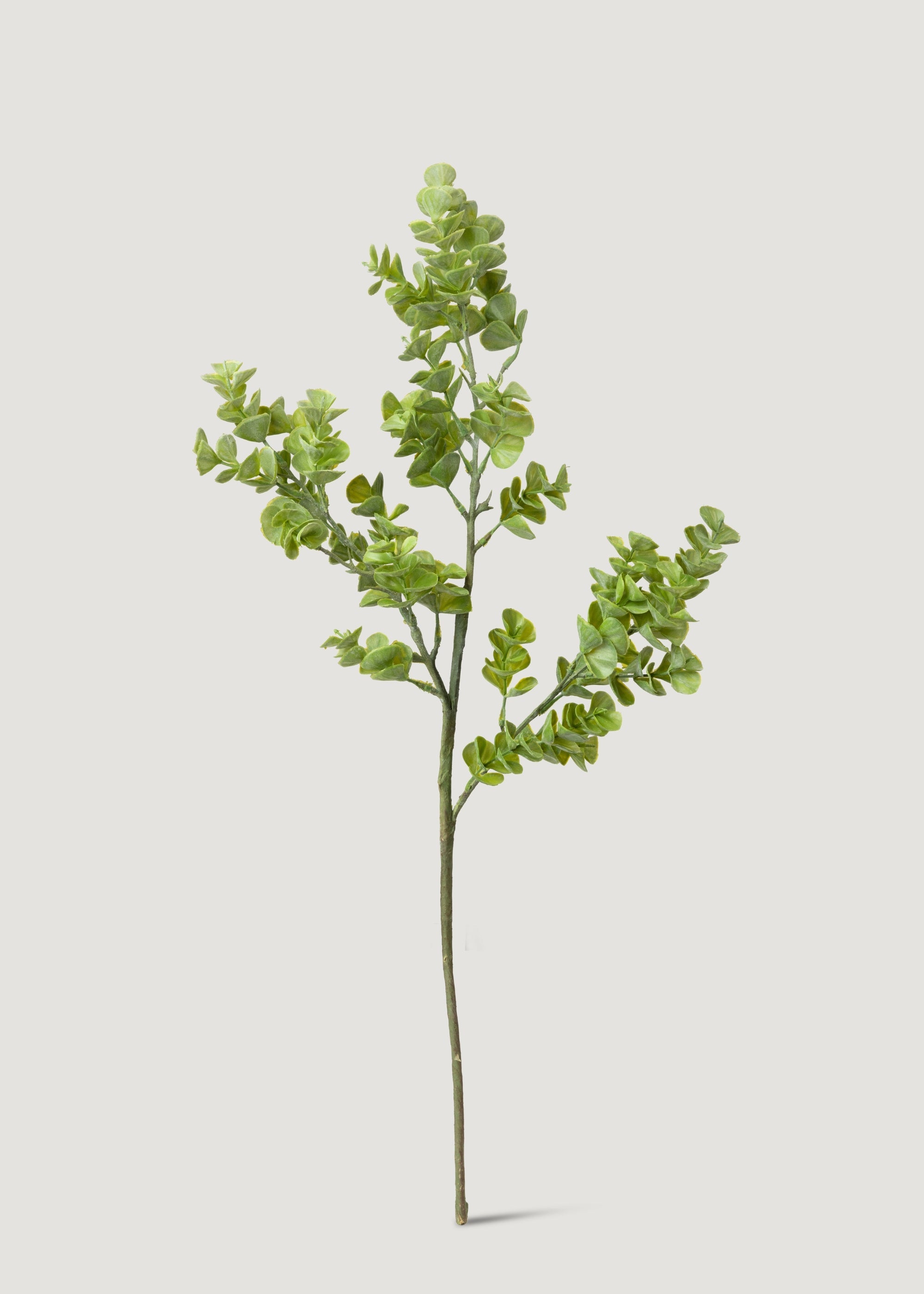 Real Touch Eucalyptus Branch for Vase Styling