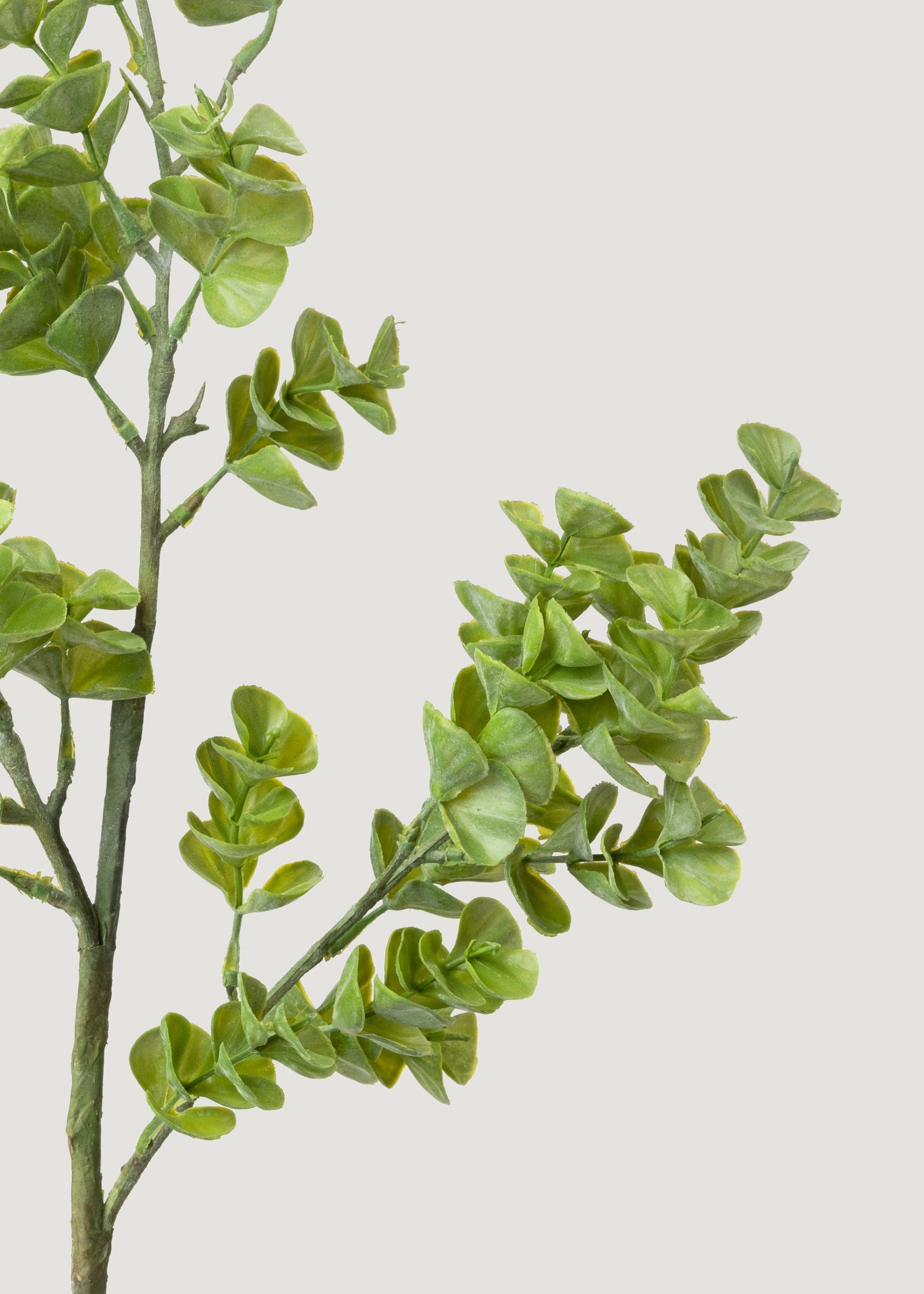 Real Touch Eucalyptus Branch for Vase Styling