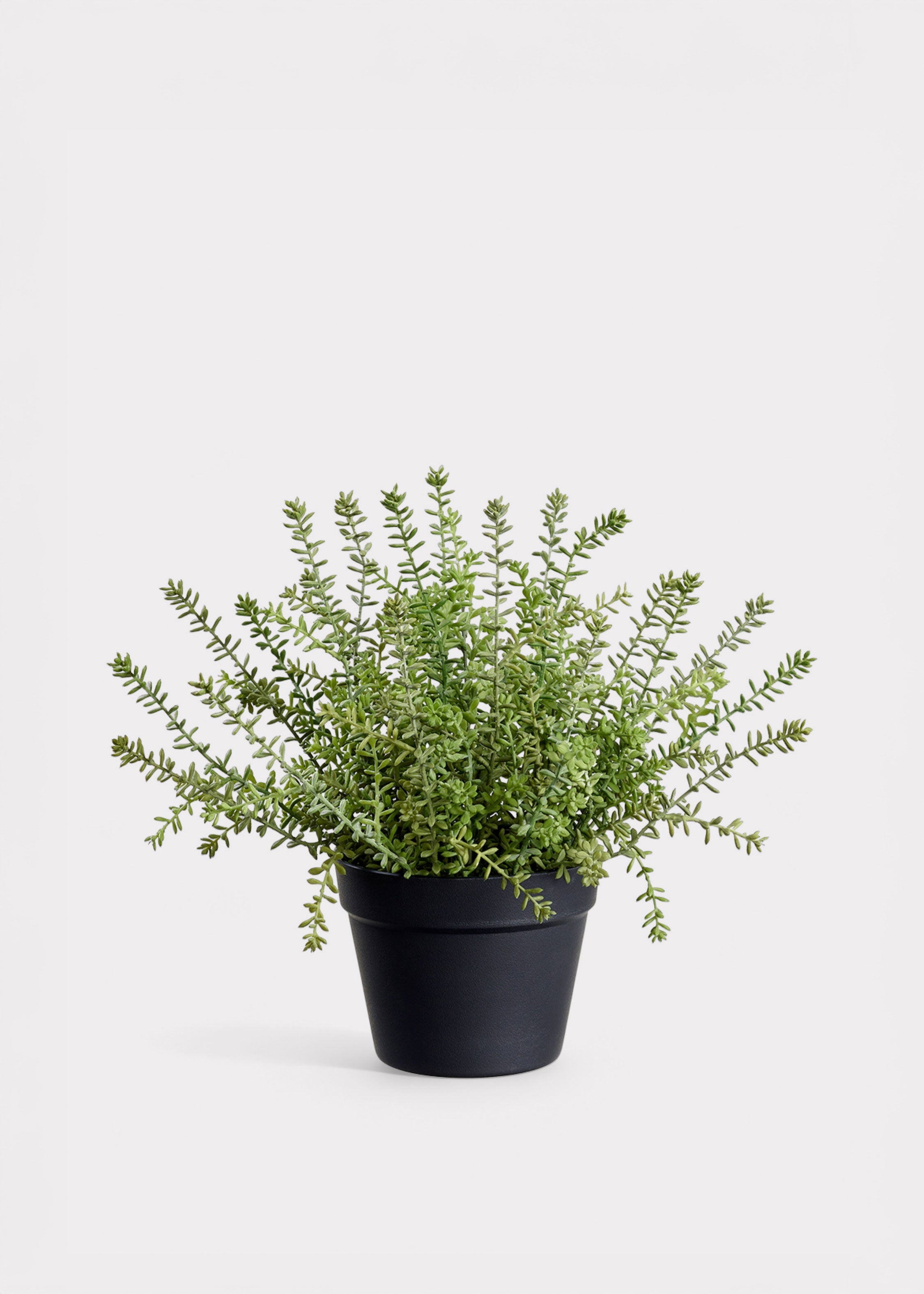 Faux Succulent Arrangement for Home Decor