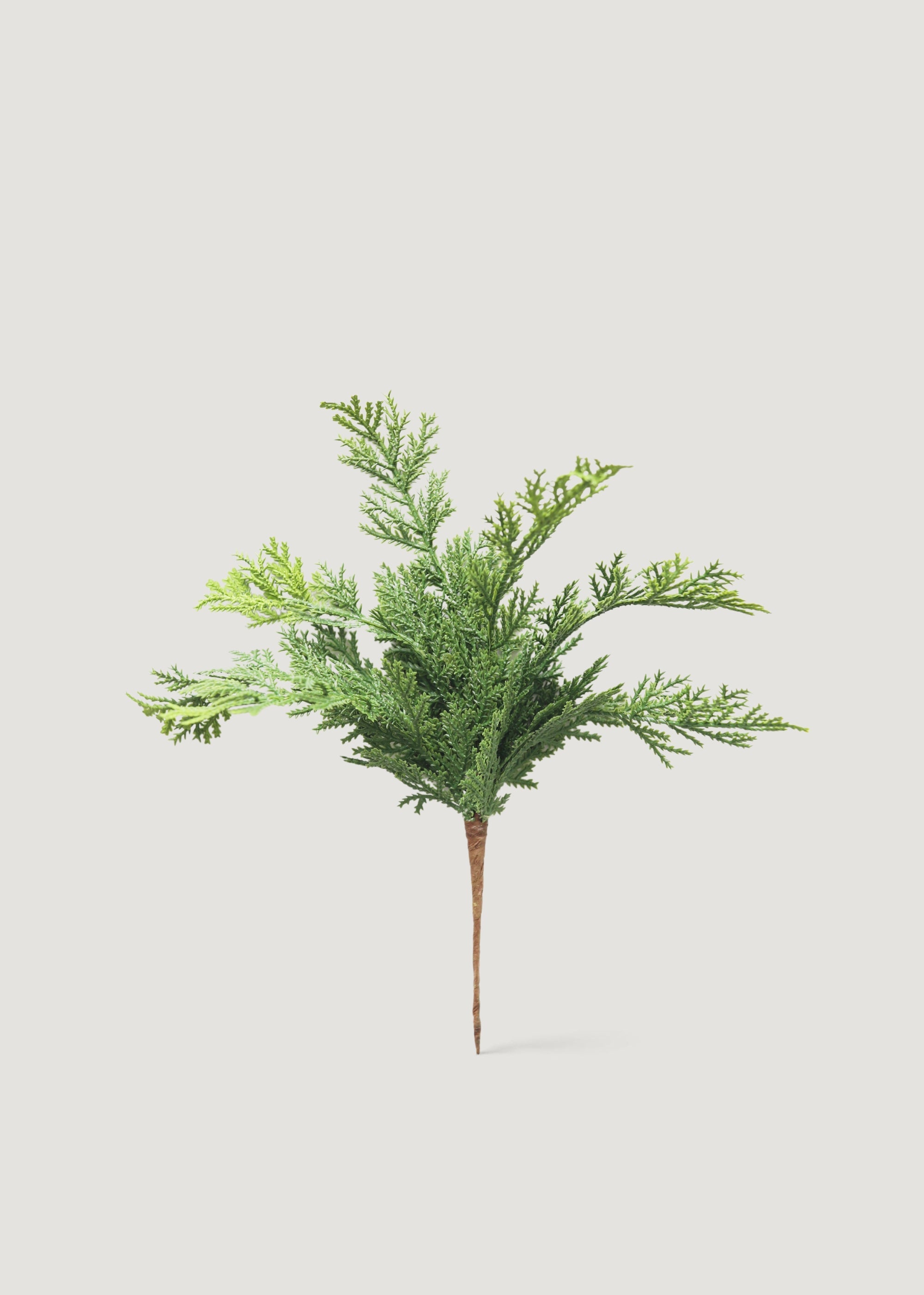 Faux Pine, Cedar Plant for Planters and Shelves