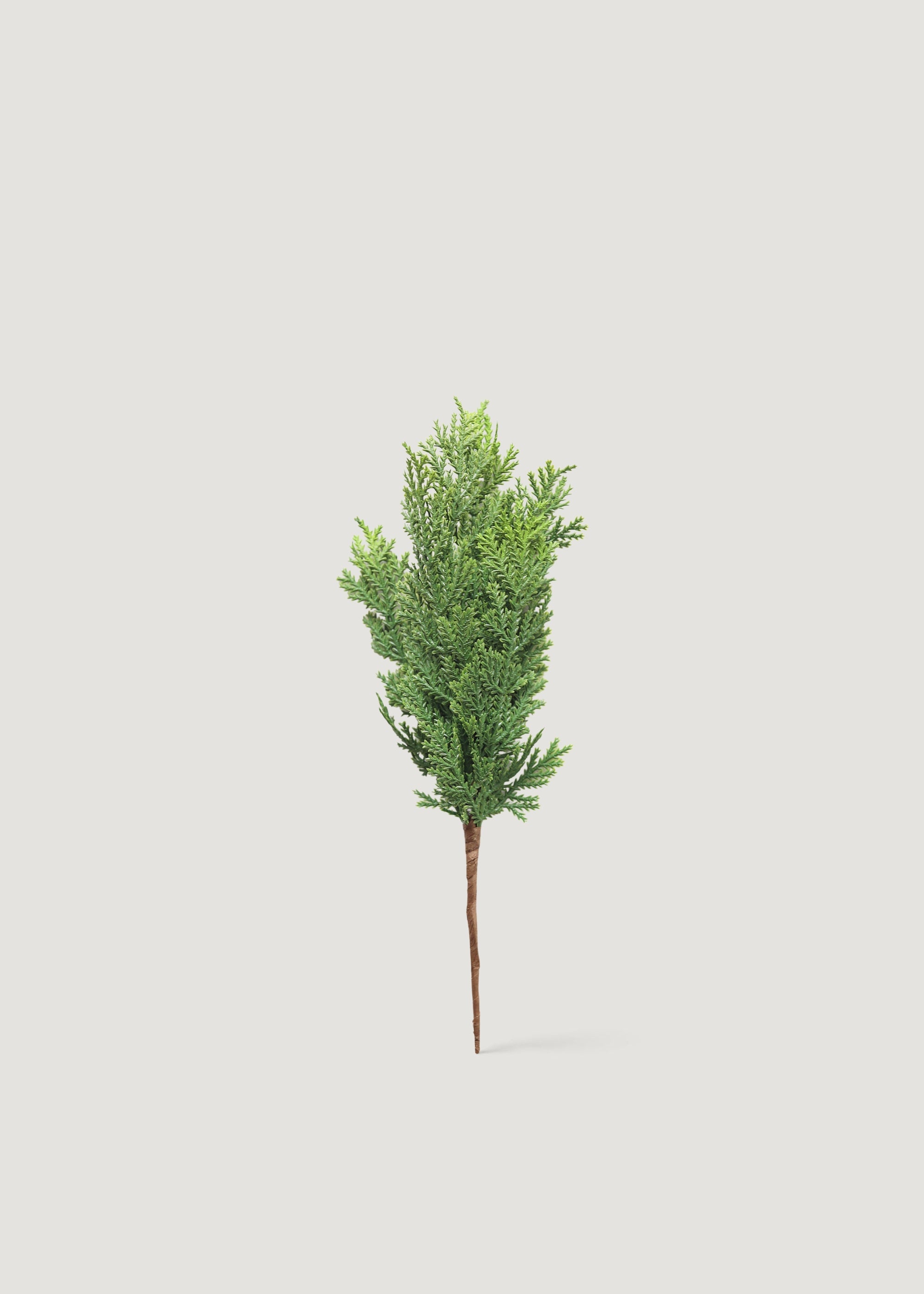 Faux Pine, Cedar Plant for Planters and Shelves
