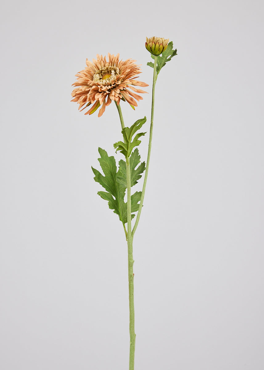 Terracotta Mum for Home Styling
