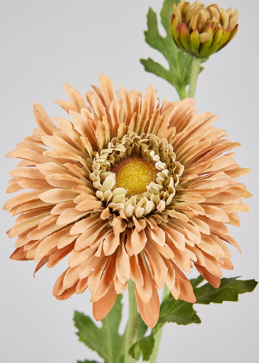 Terracotta Mum for Home Styling