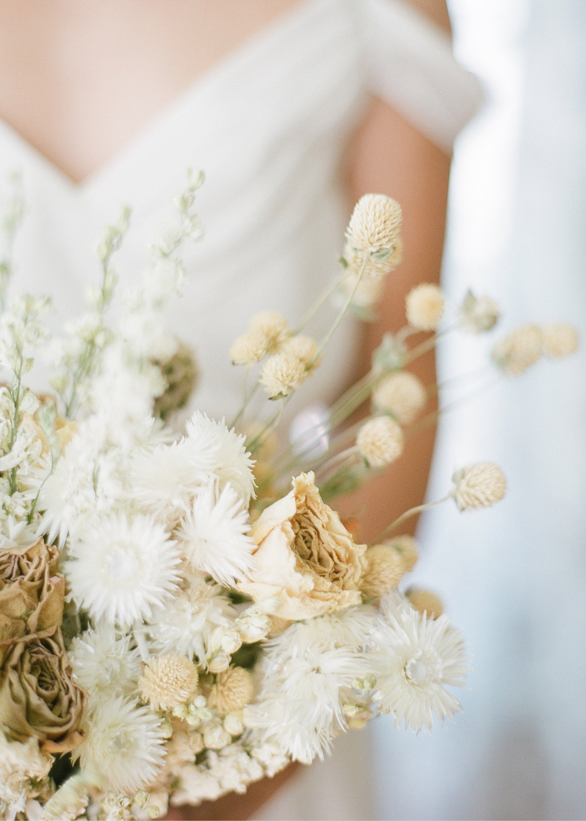 White Dried Daisy Bundle for Vase Styling