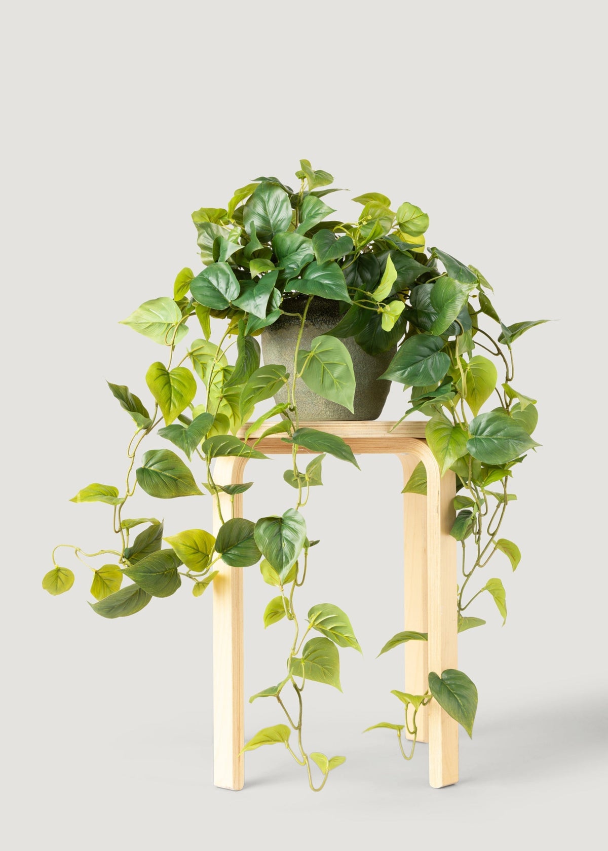 Real Touch Philodendron Hanging Bush for Vase Styling
