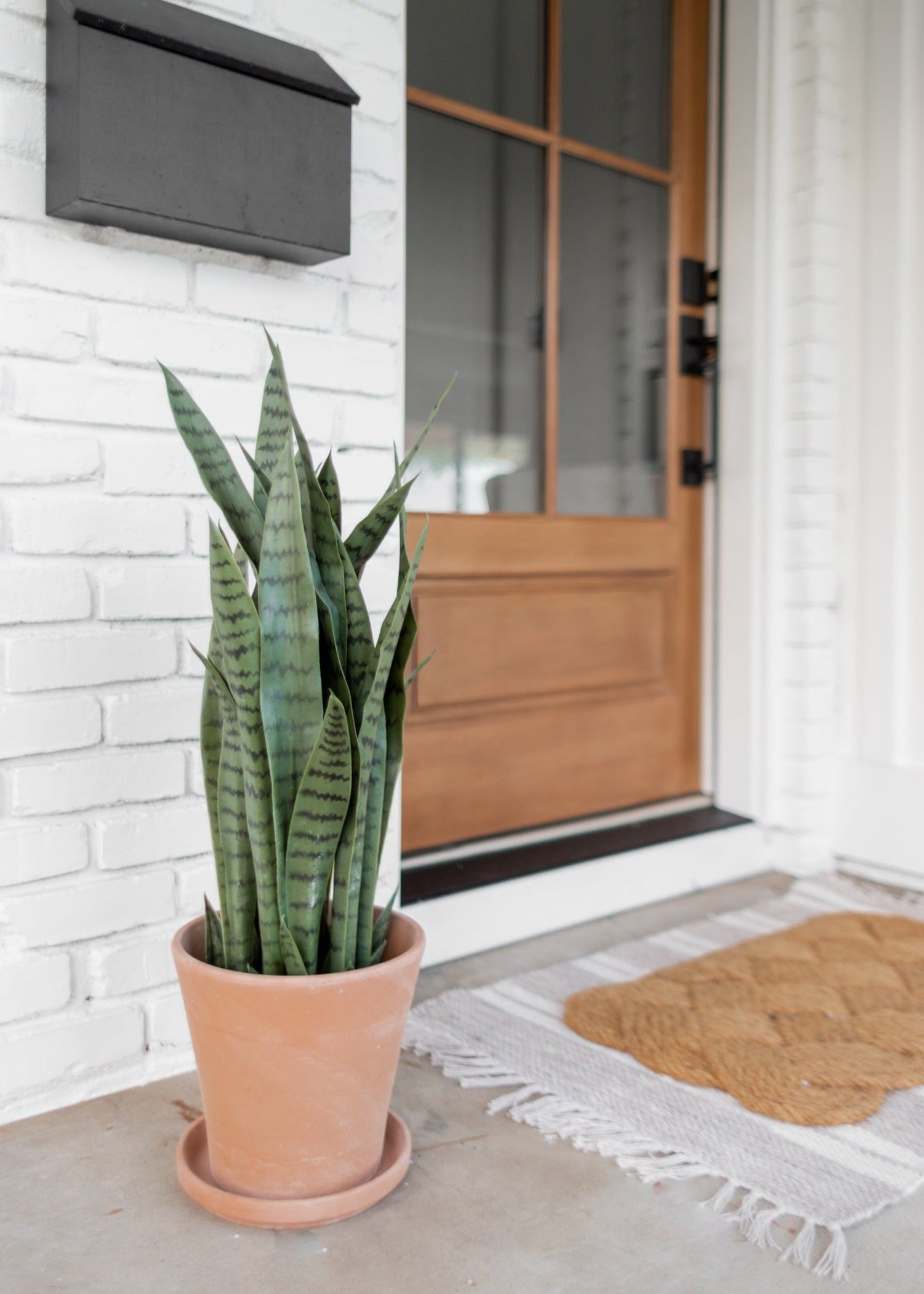 Faux Uv Treated Outdoor Potted Sansevieria Snake Arrangement for Home Decor