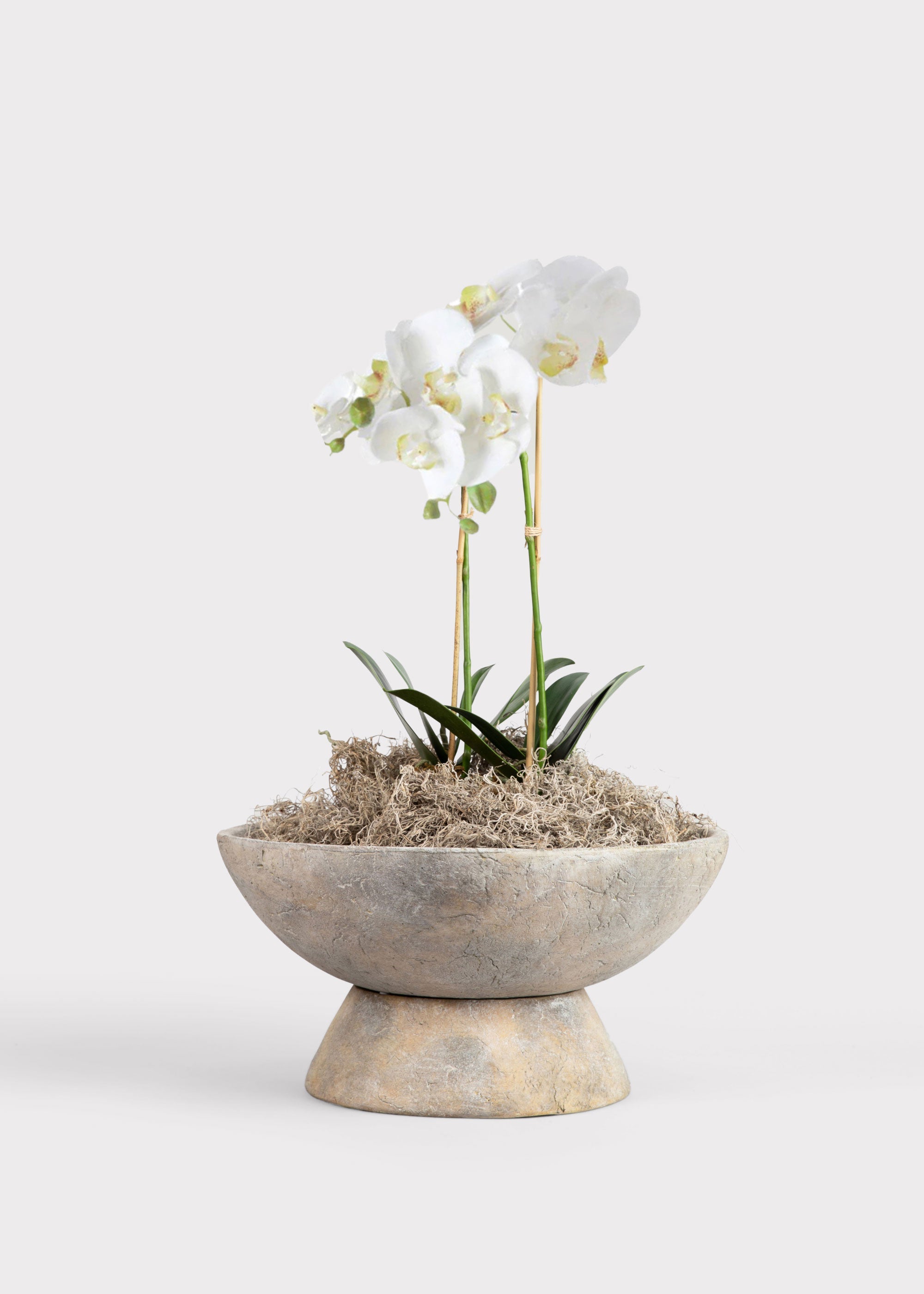 White Faux Orchid Plant for Planters and Shelves