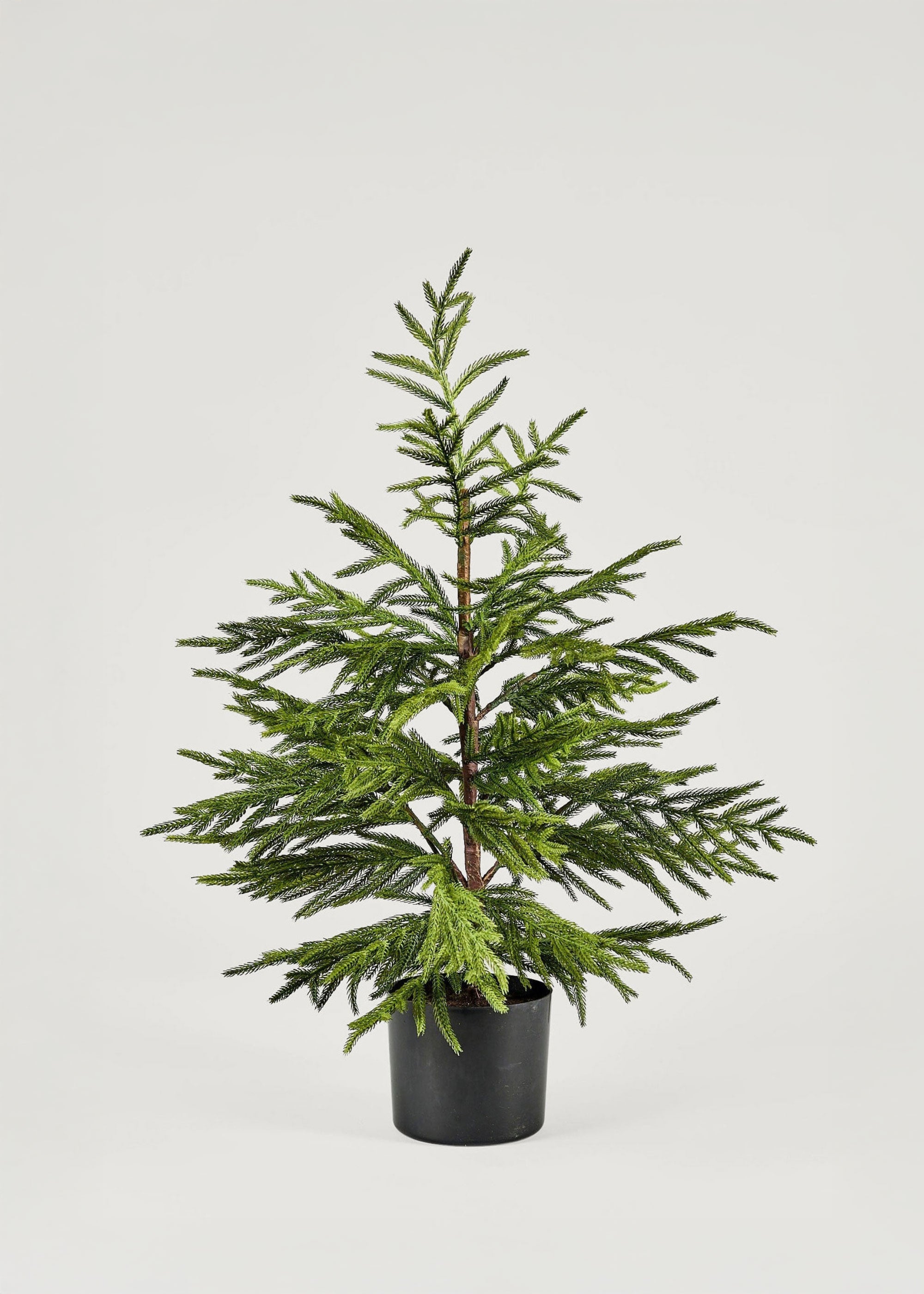 Faux Pine Arrangement for Home Decor