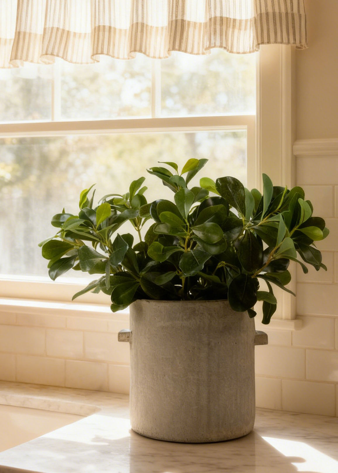 Faux Save - Wax Privet Leaf Stem for Vase Styling