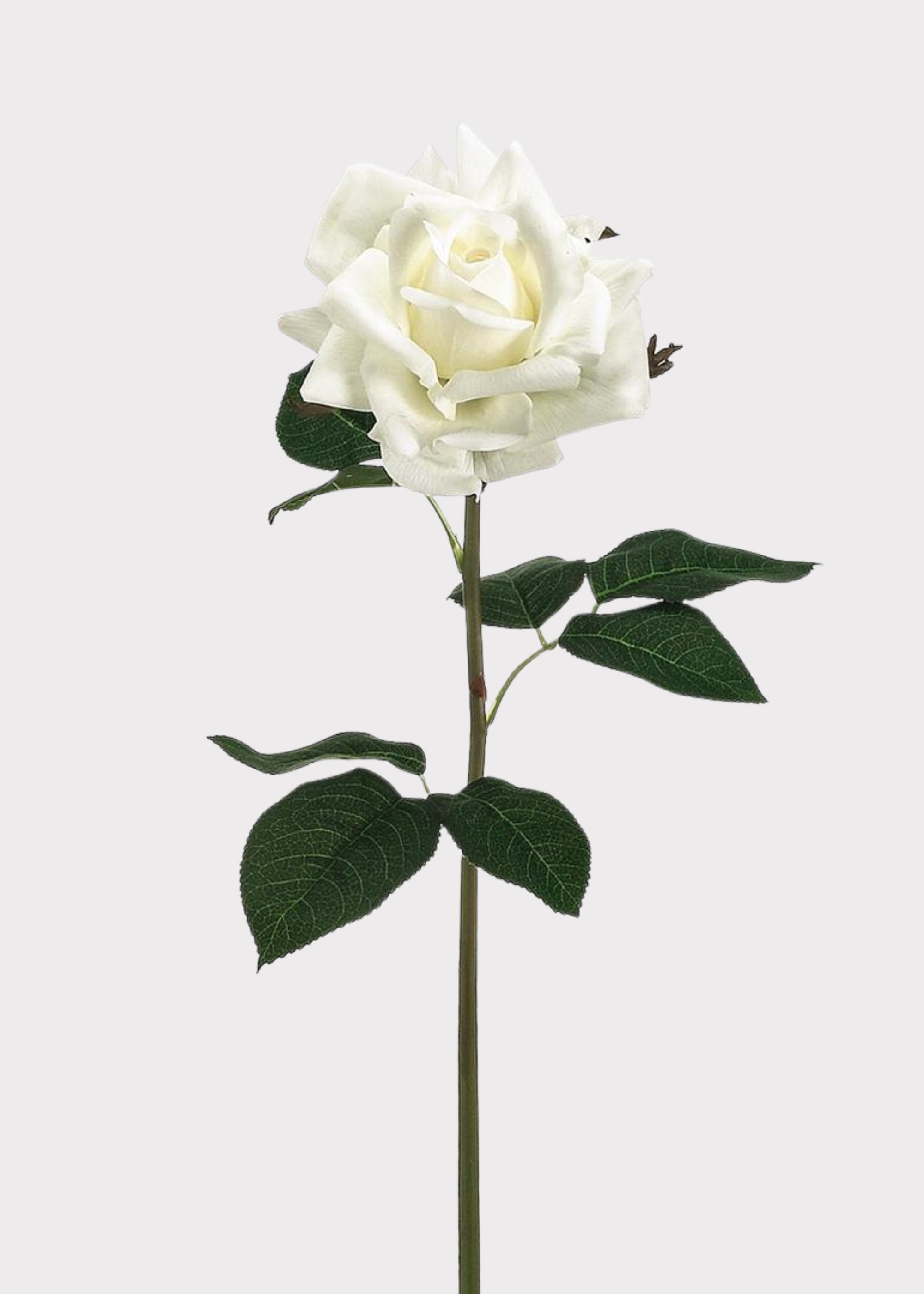 White Real Touch Rose Stem for Vase and Wedding Styling