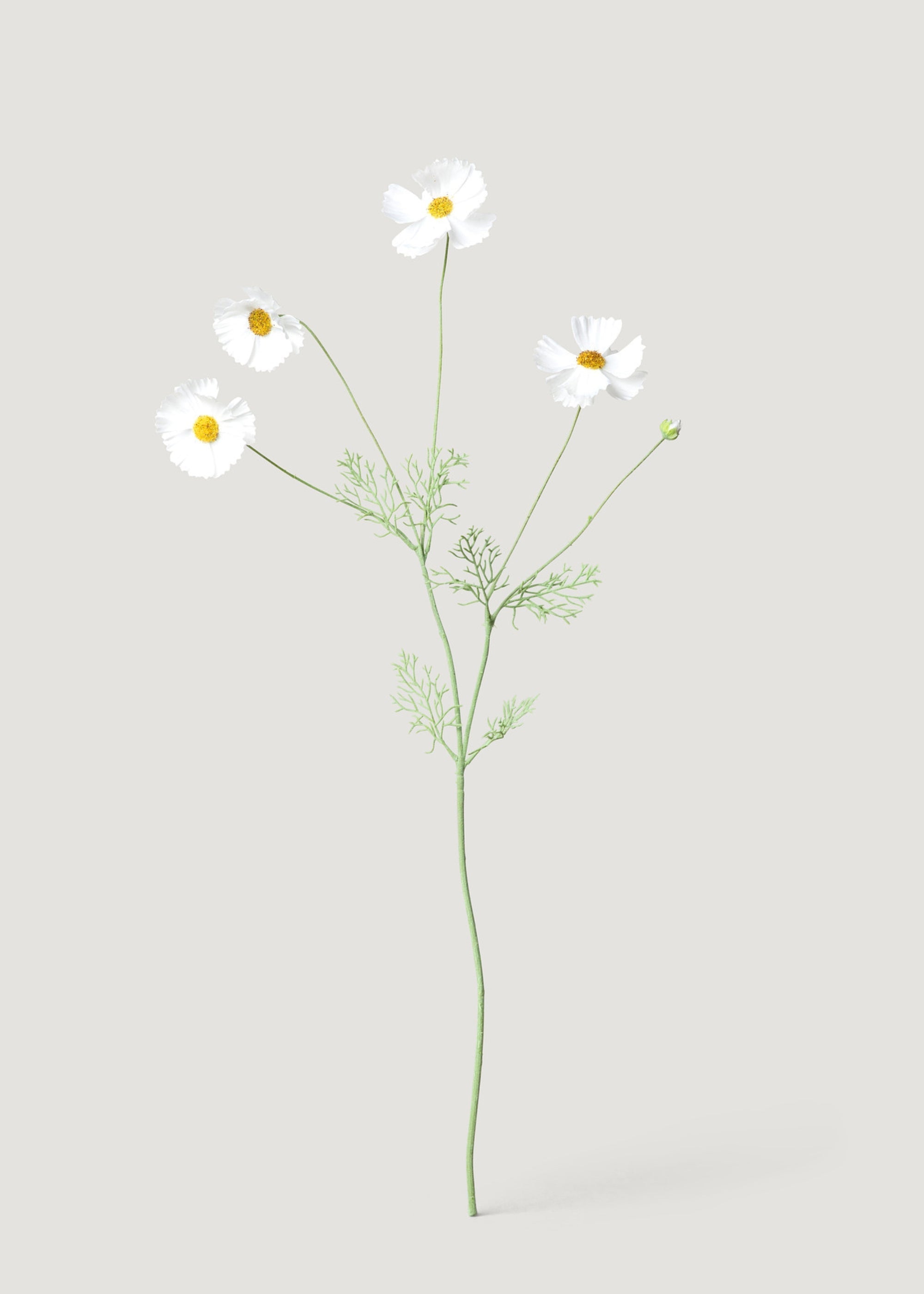 White Faux Cosmos, Daisy Stem for Vase and Wedding Styling