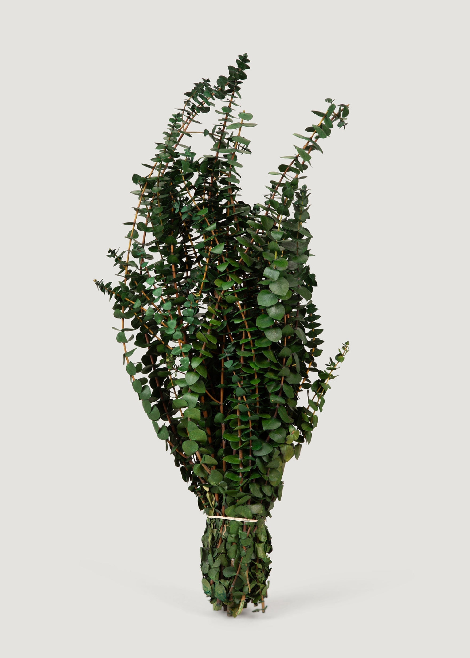 Faux Eucalyptus Bundle for Vase and Wedding Styling