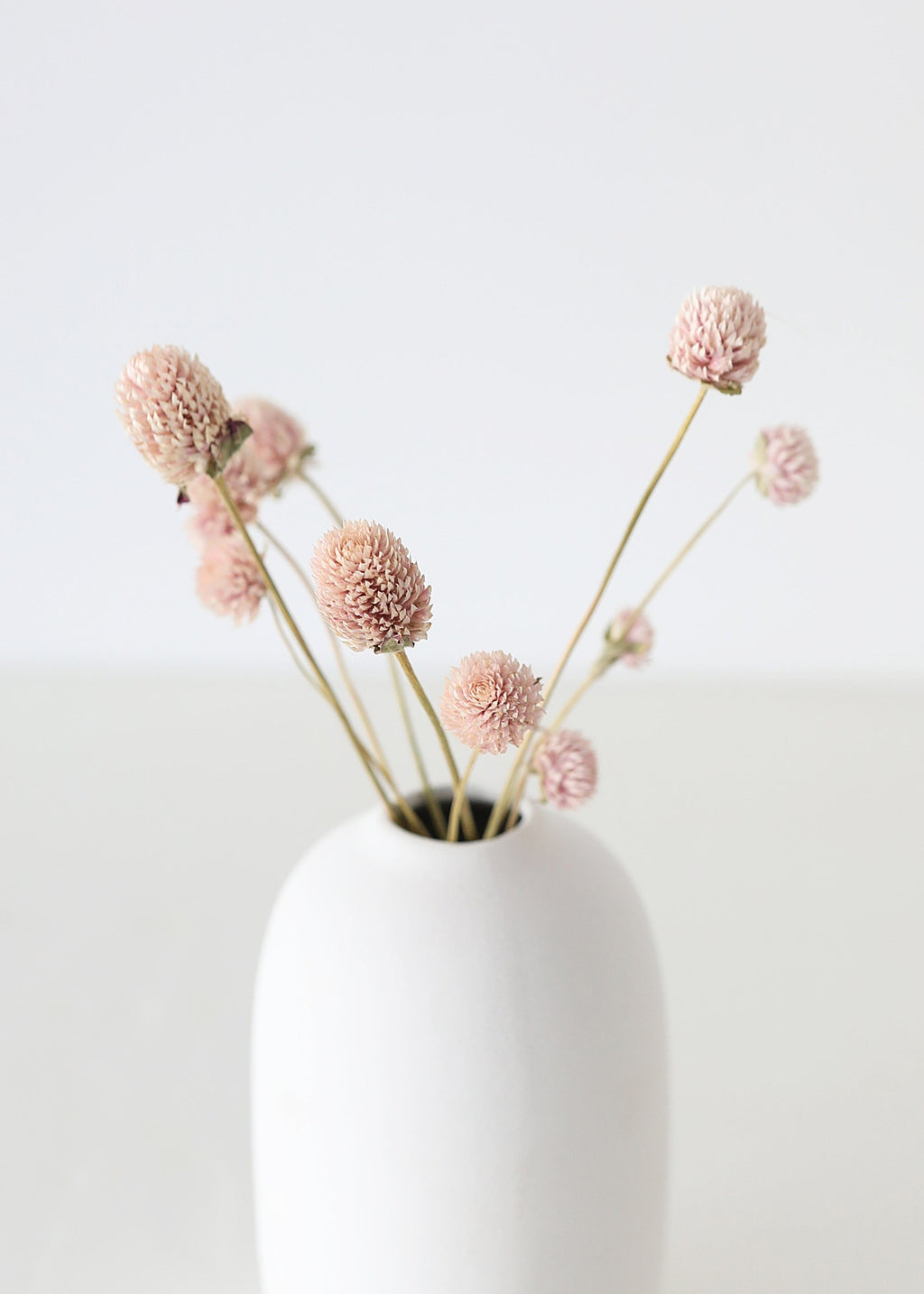 Air-dried Globe Amaranth Pink for Home Styling