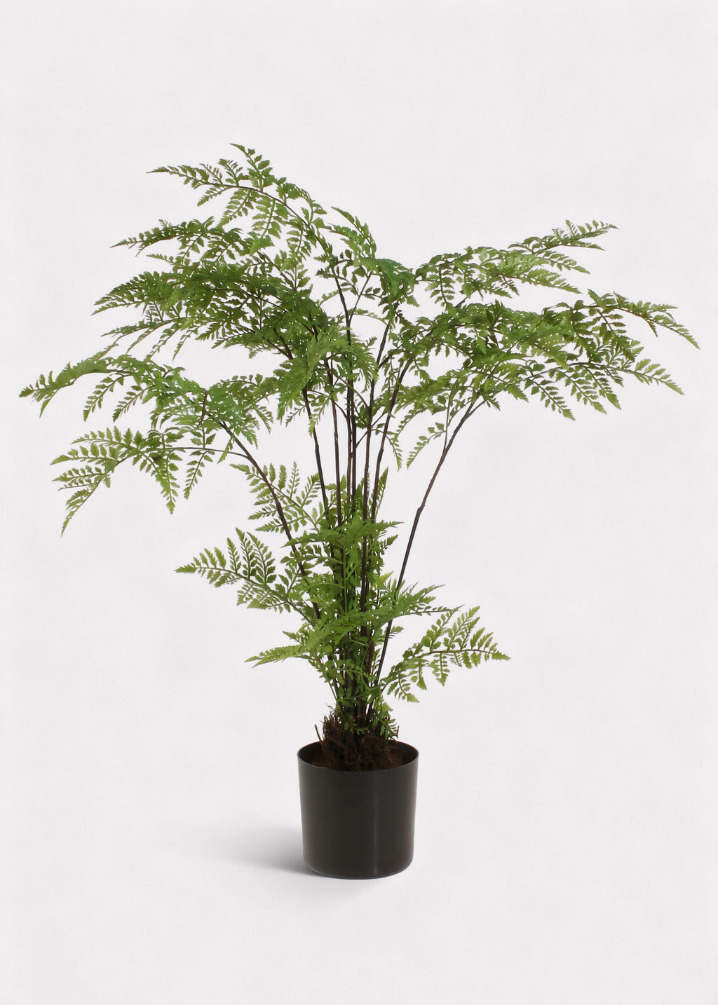 Faux Fern Arrangement for Home Decor
