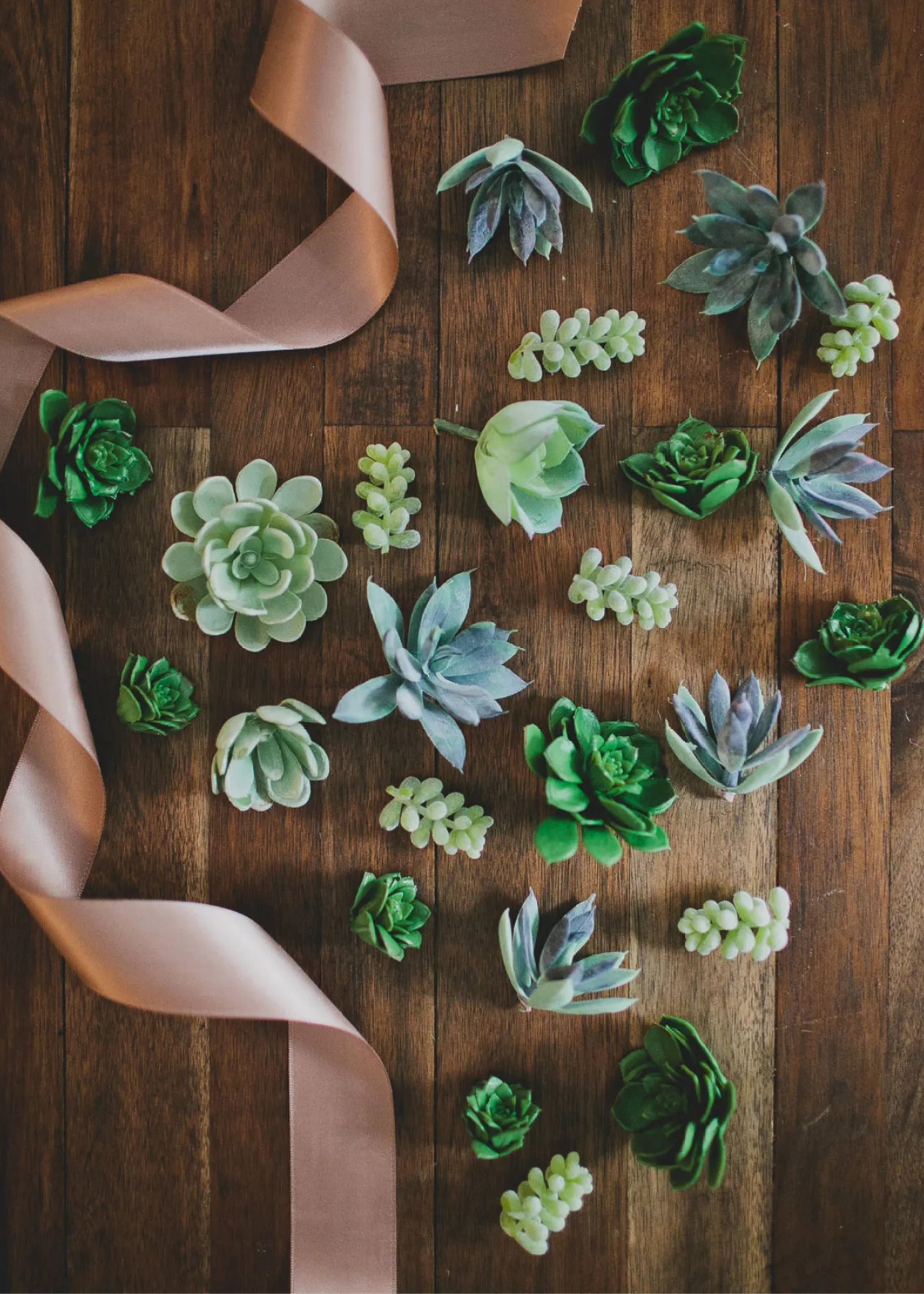 Real Touch Succulent Plant for Planters and Shelves
