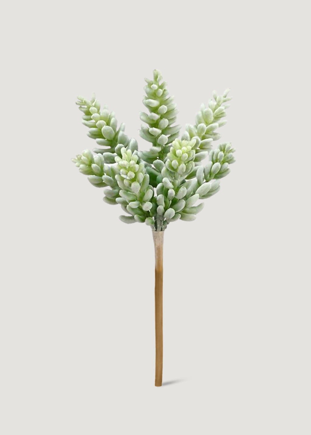 Real Touch Succulent Plant for Planters and Shelves
