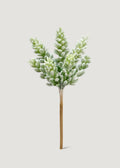 Real Touch Succulent Plant for Planters and Shelves