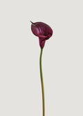 Plum Real Touch Lily Stem for Vase and Wedding Styling