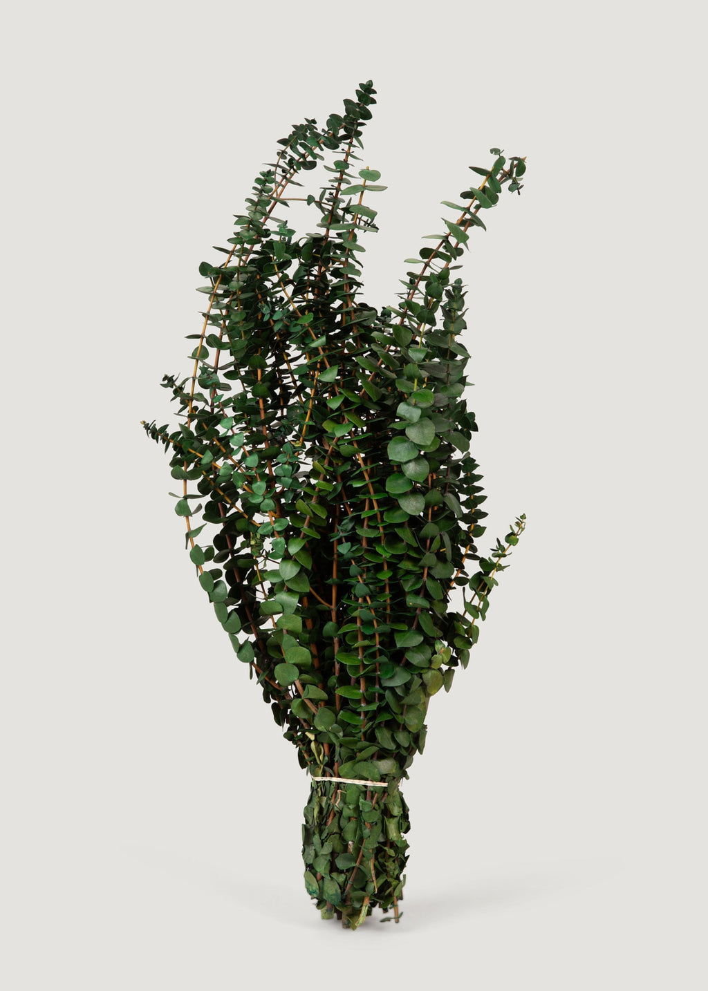 Faux Eucalyptus Bundle for Vase and Wedding Styling