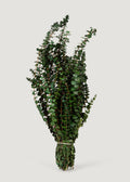 Faux Eucalyptus Bundle for Vase and Wedding Styling