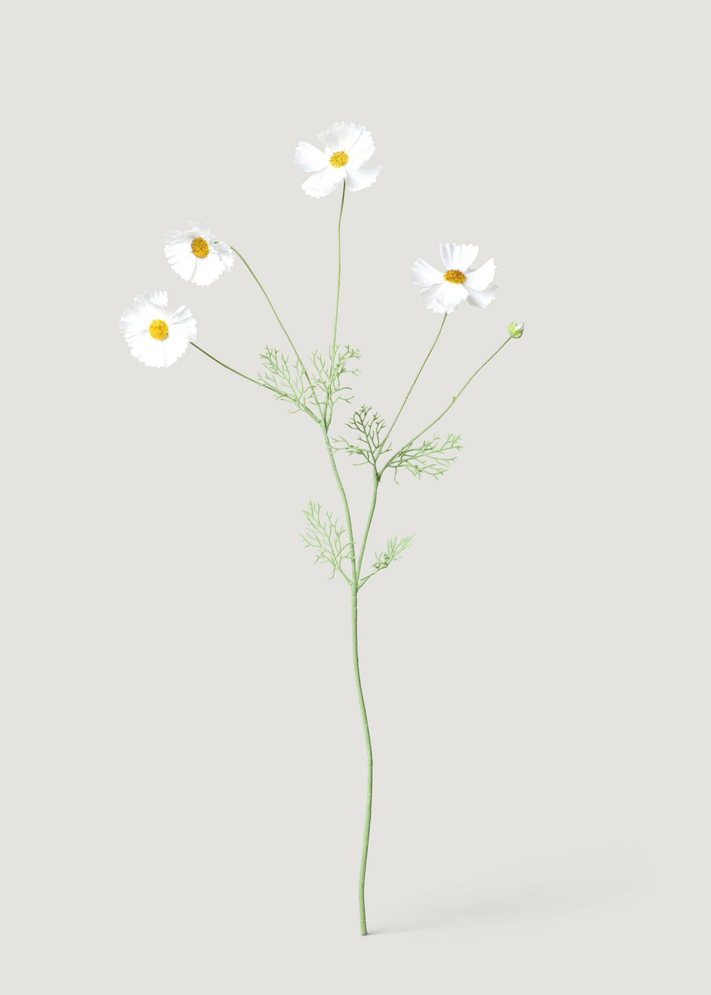White Faux Cosmos, Daisy Stem for Vase and Wedding Styling