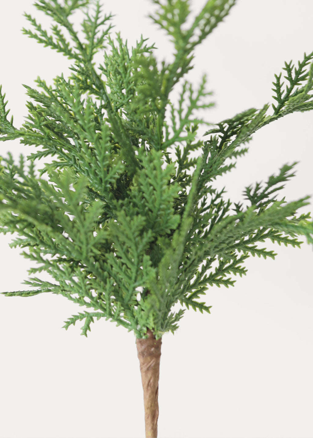 Faux Pine, Cedar Plant for Planters and Shelves