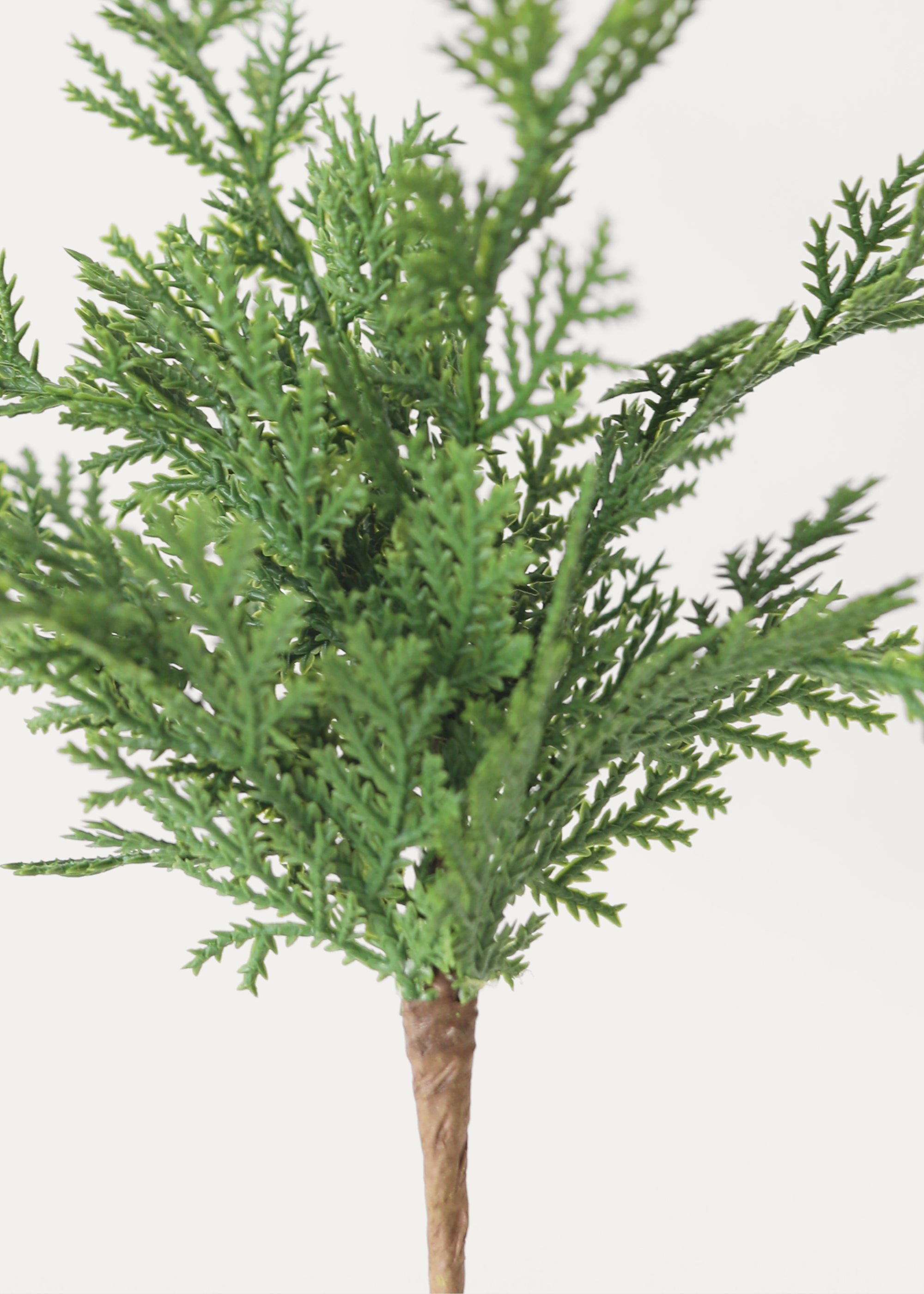 Faux Pine, Cedar Plant for Planters and Shelves