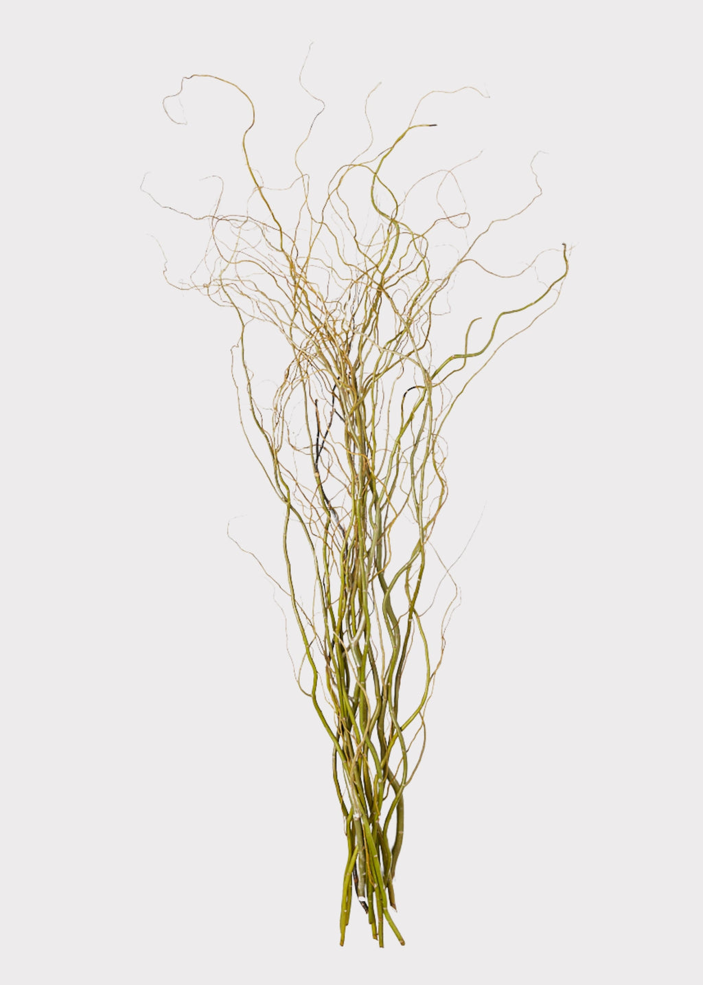 Faux Fresh Curly Willow Branches for Vase Styling