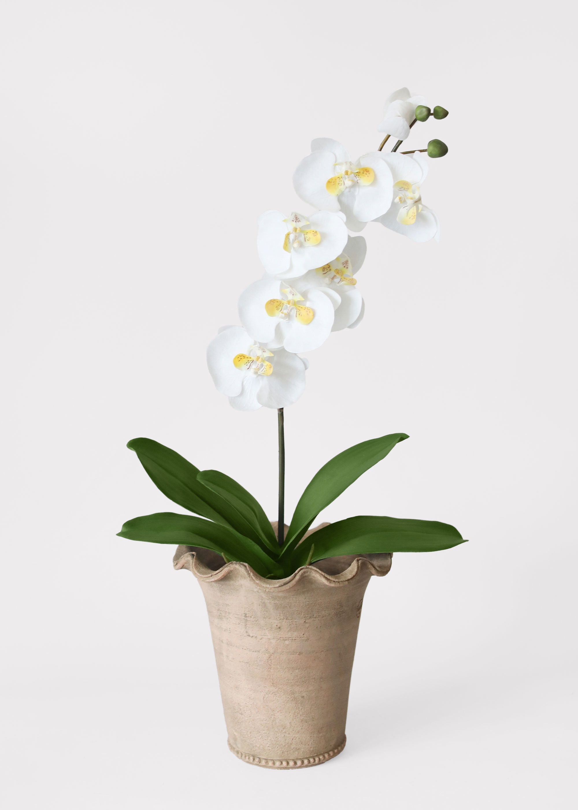Faux Orchid Stem for Vase Styling