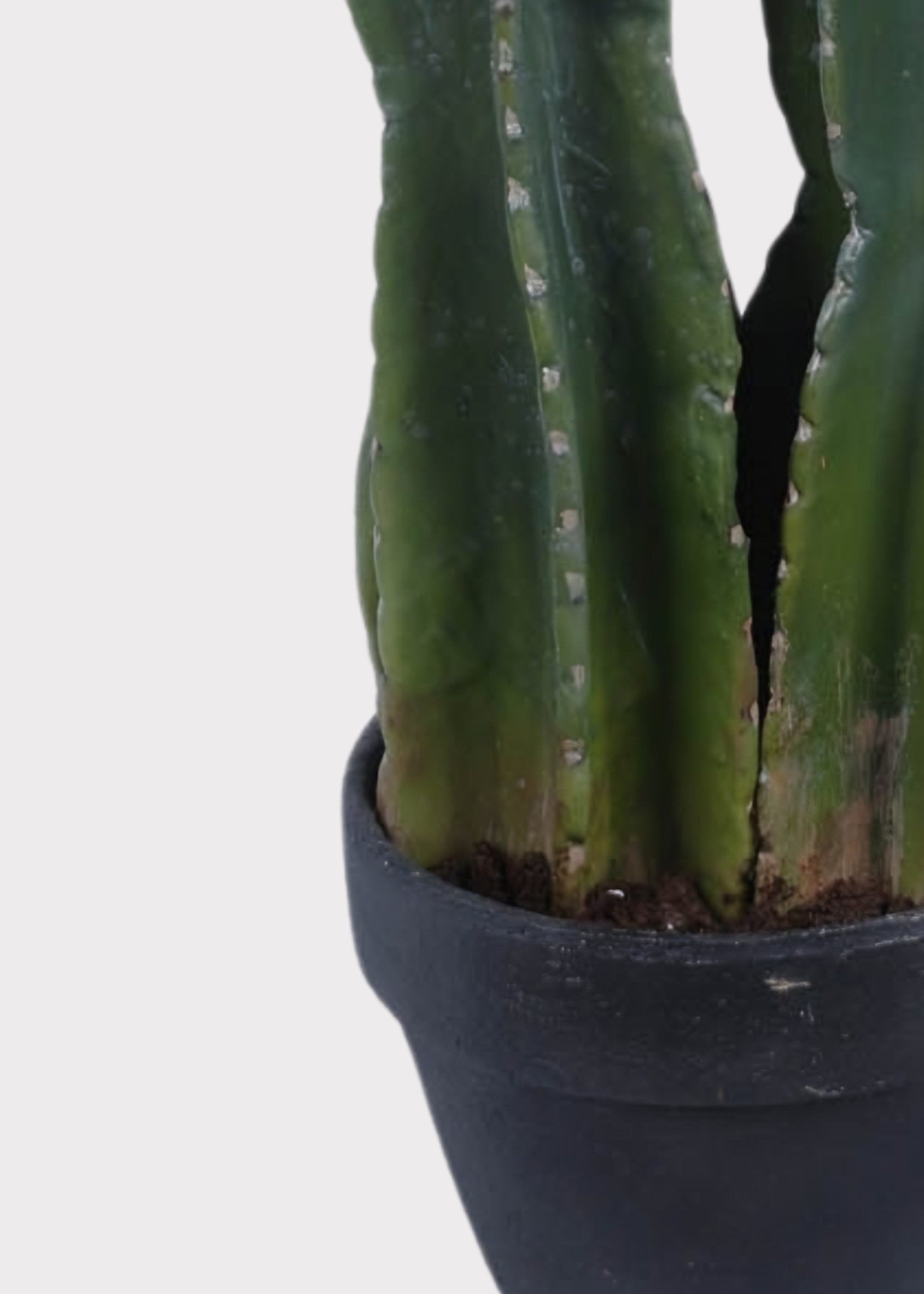Faux Cactus Arrangement for Home Decor