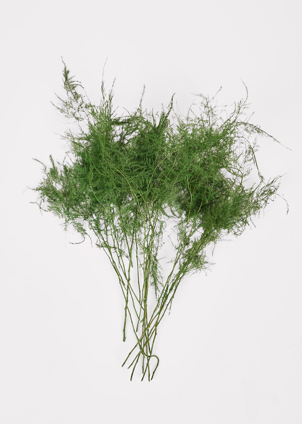Faux Fern Bundle for Vase Styling