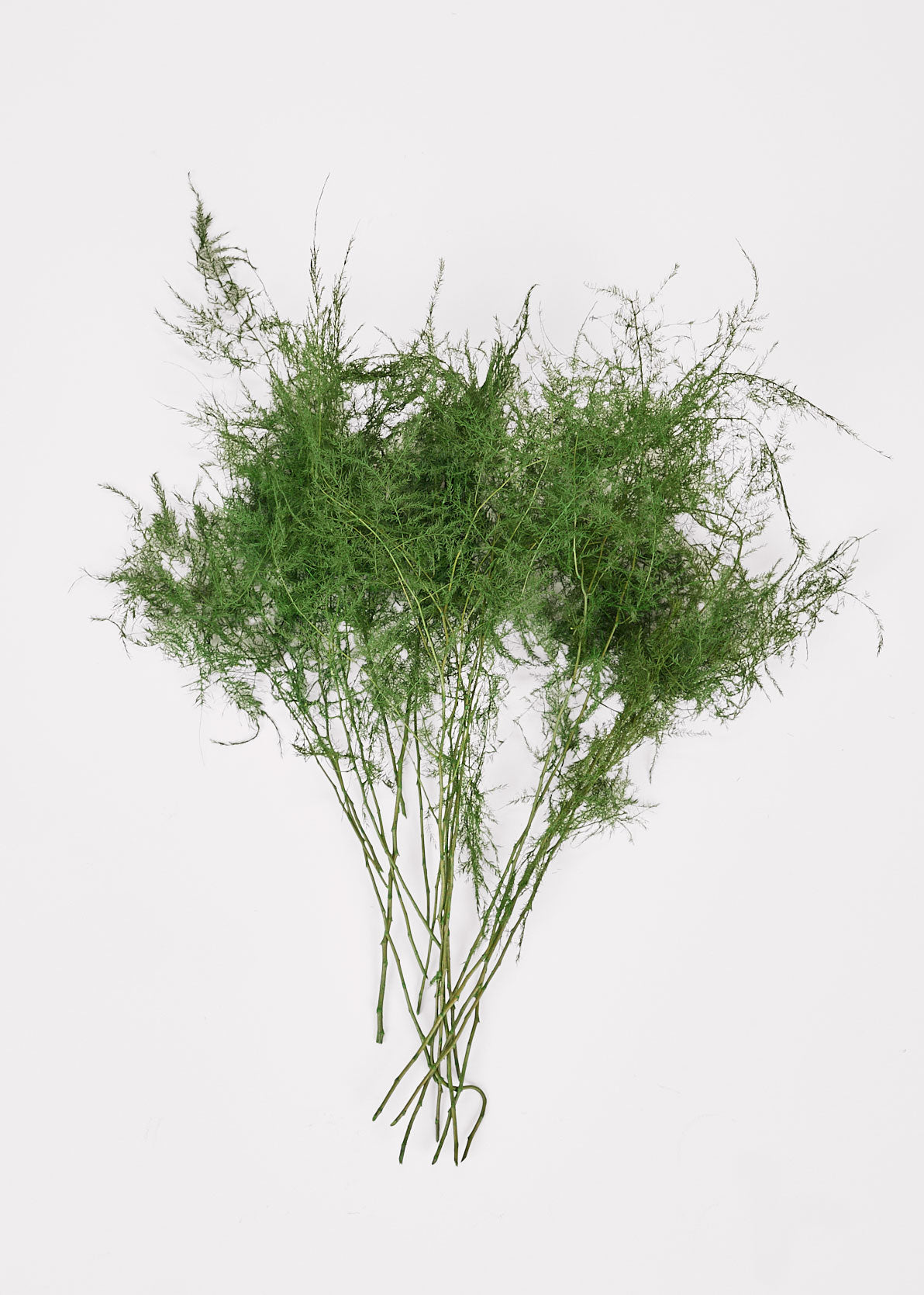 Faux Fern Bundle for Vase Styling
