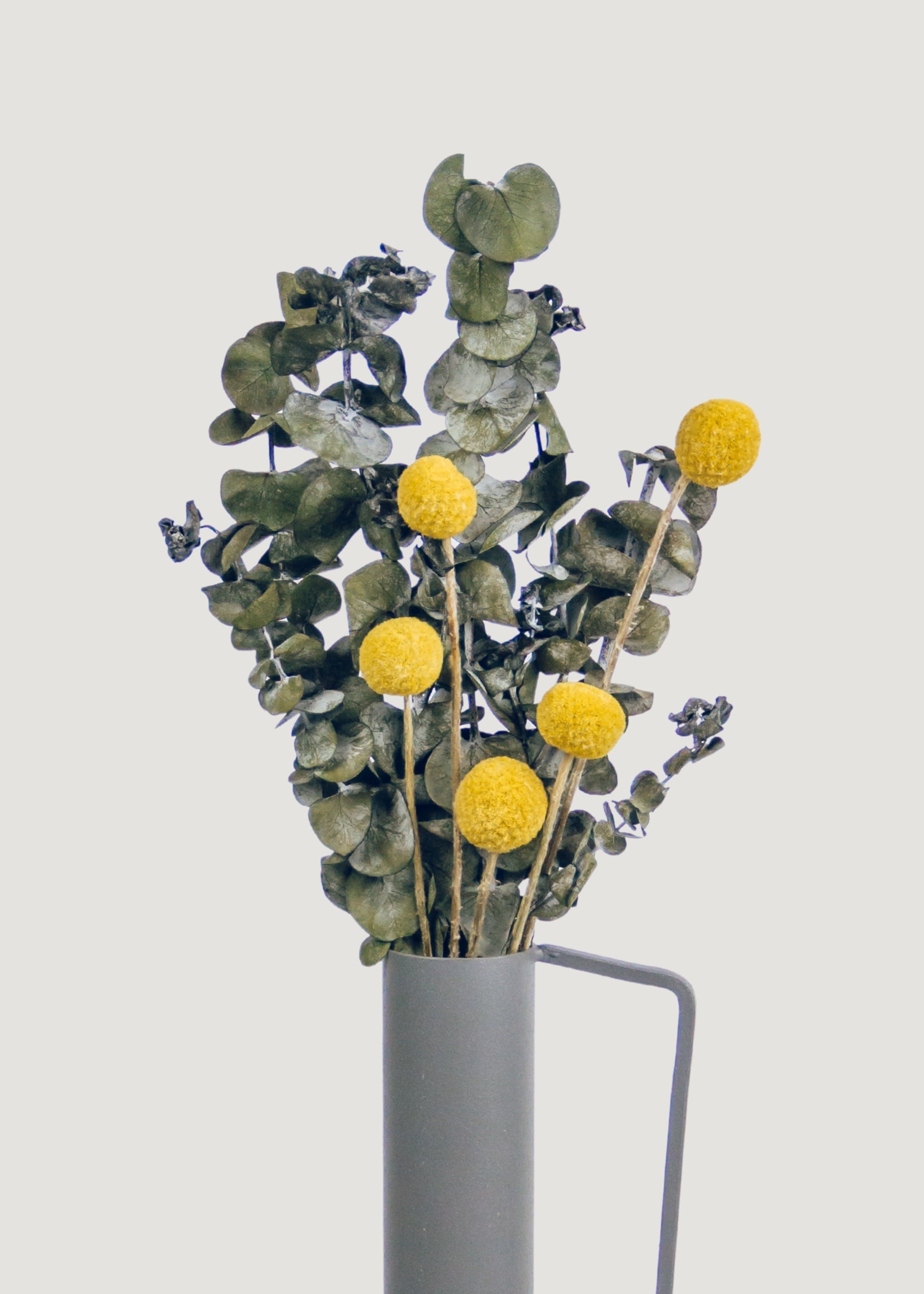 Dried 10 Dried Yellow Craspedia Billy Button Bundle for Vase Styling