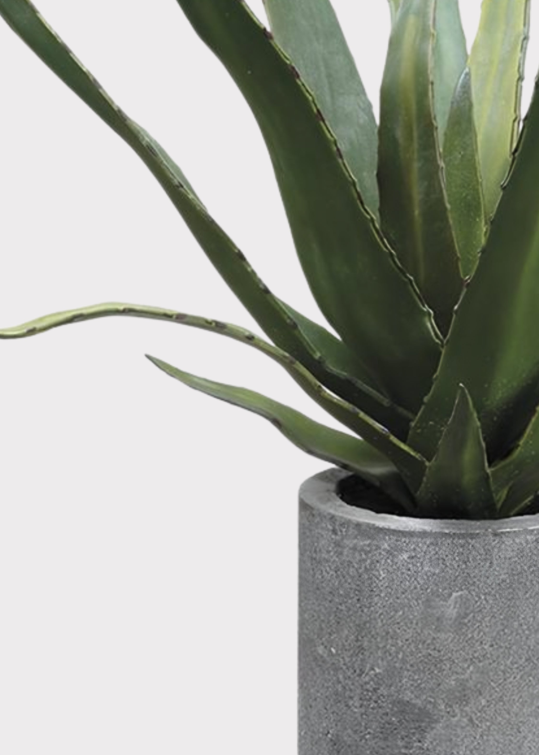 Faux Cactus Arrangement for Home Decor