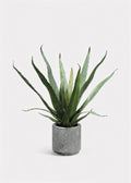 Faux Cactus Arrangement for Home Decor