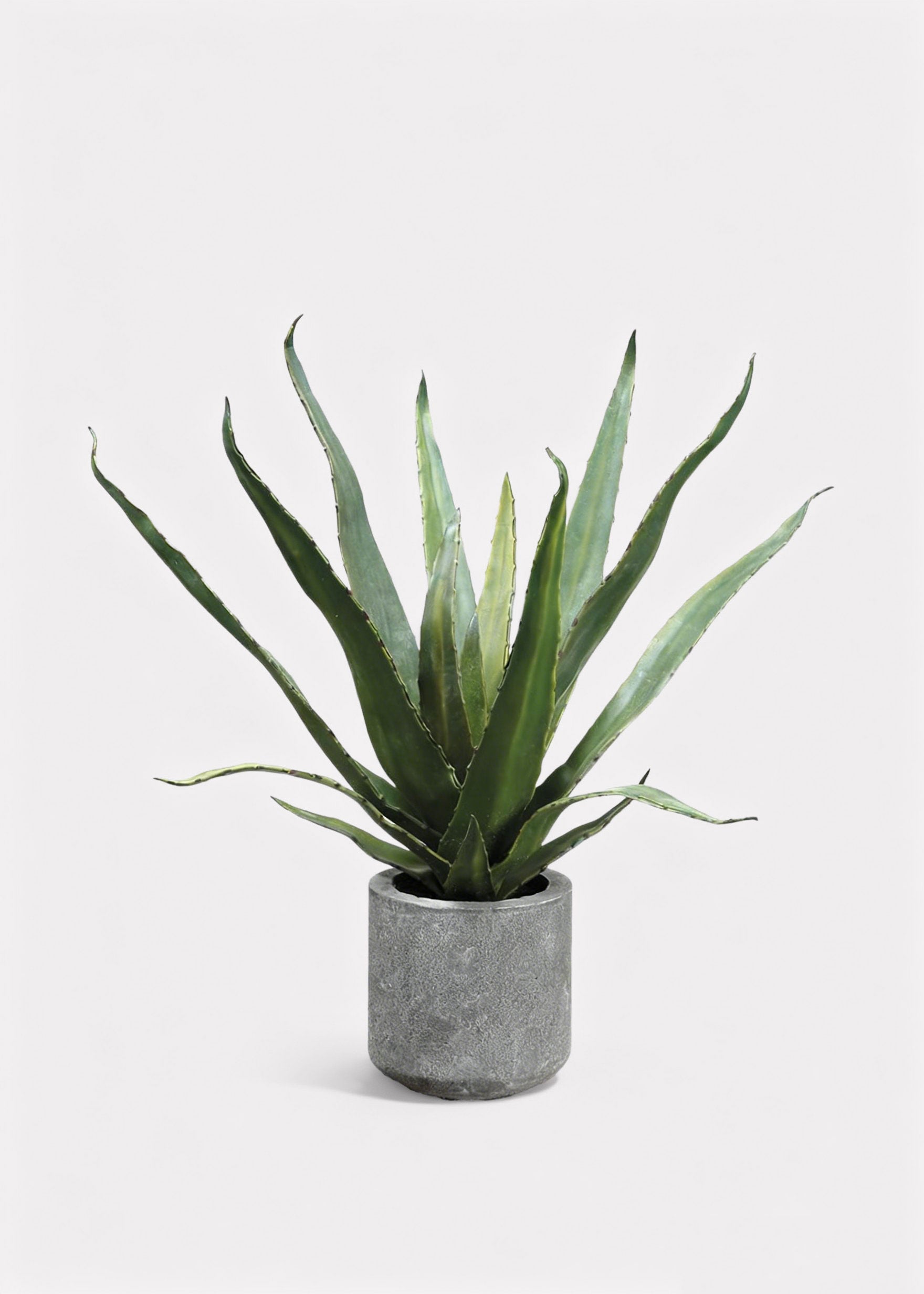 Faux Cactus Arrangement for Home Decor