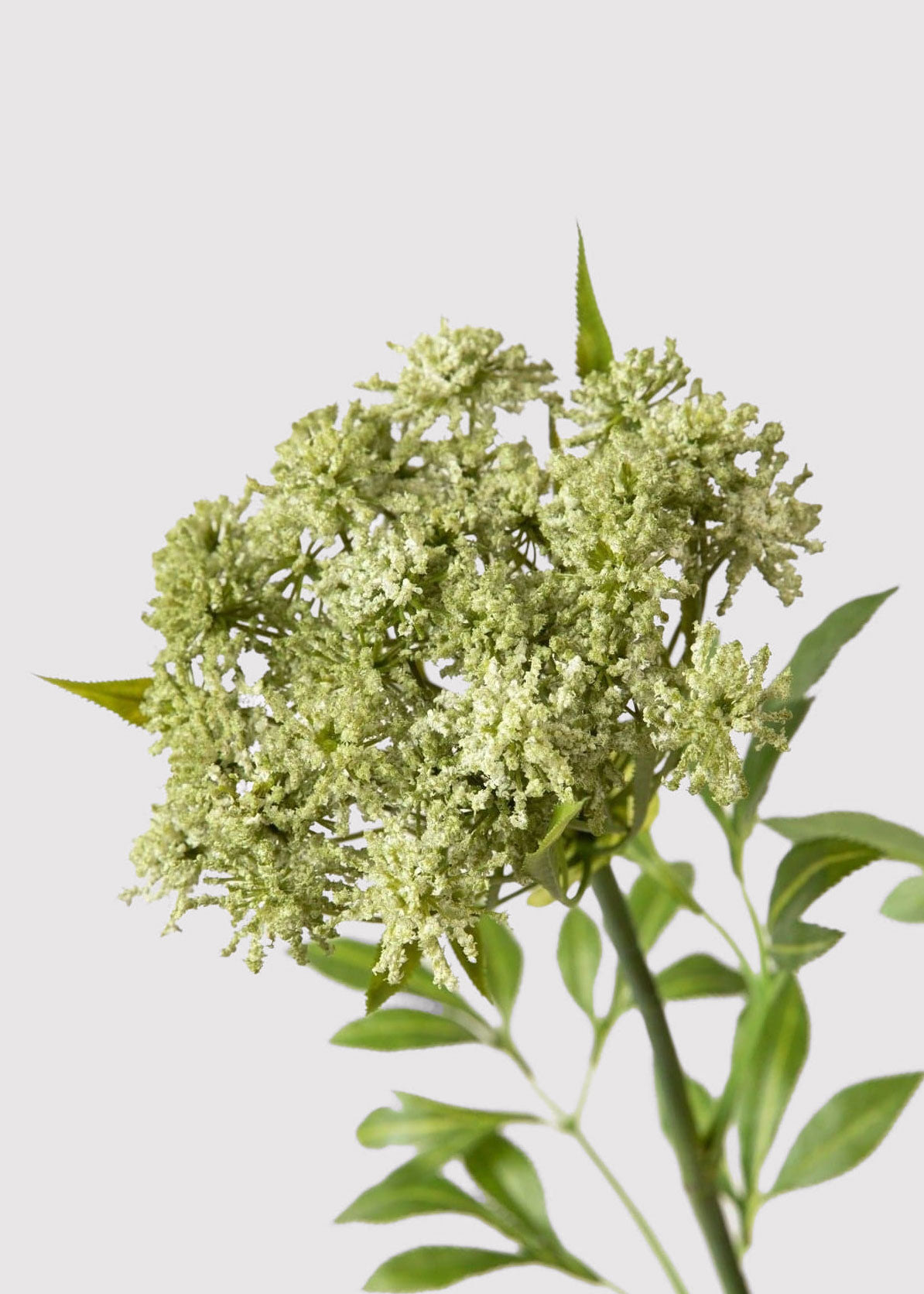 Faux Save - Queen Anne's Lace Wildflowers Stem for Vase Styling