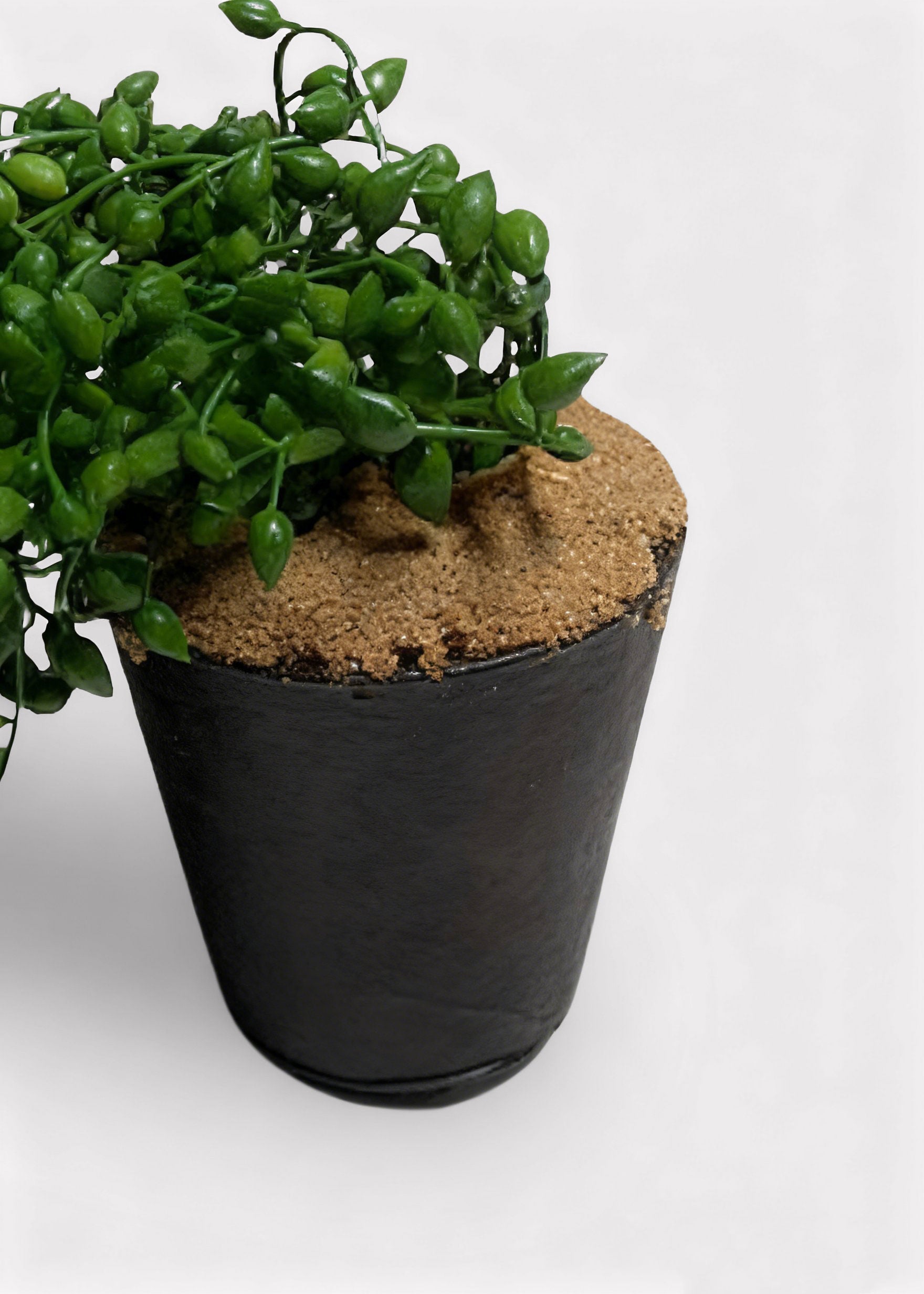 Faux Succulent Plant for Planters and Shelves