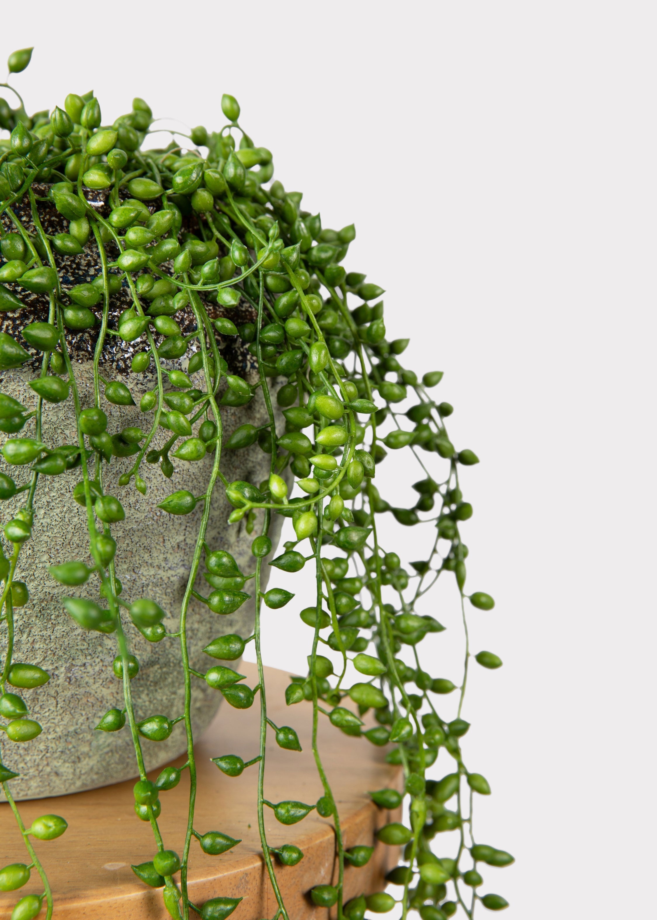 Faux Succulent Plant for Planters and Shelves