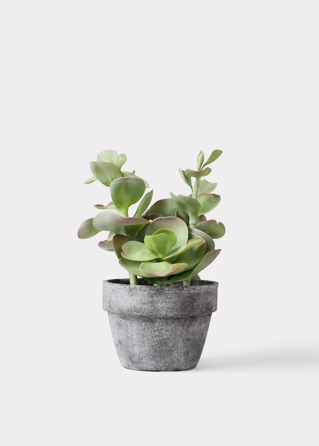 Faux Succulent Arrangement for Home Decor