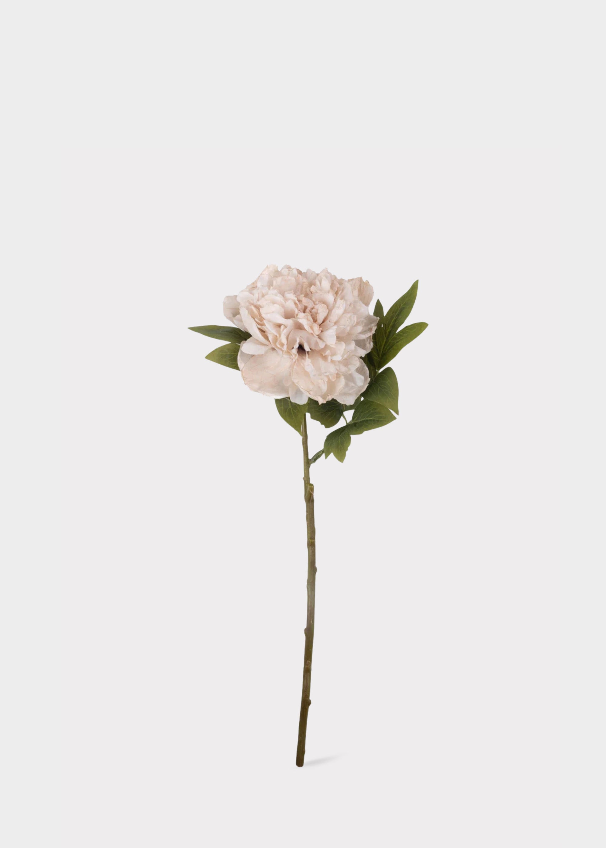 Beige Blush Faux Peony Stem for Vase and Wedding Styling