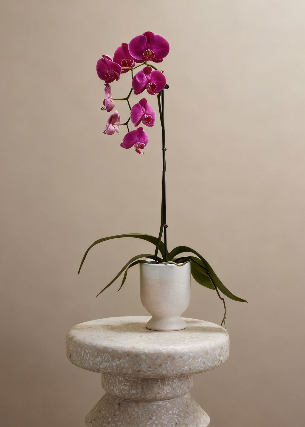 Footed Ceramic Laney Speckled White Vase for Floral Styling
