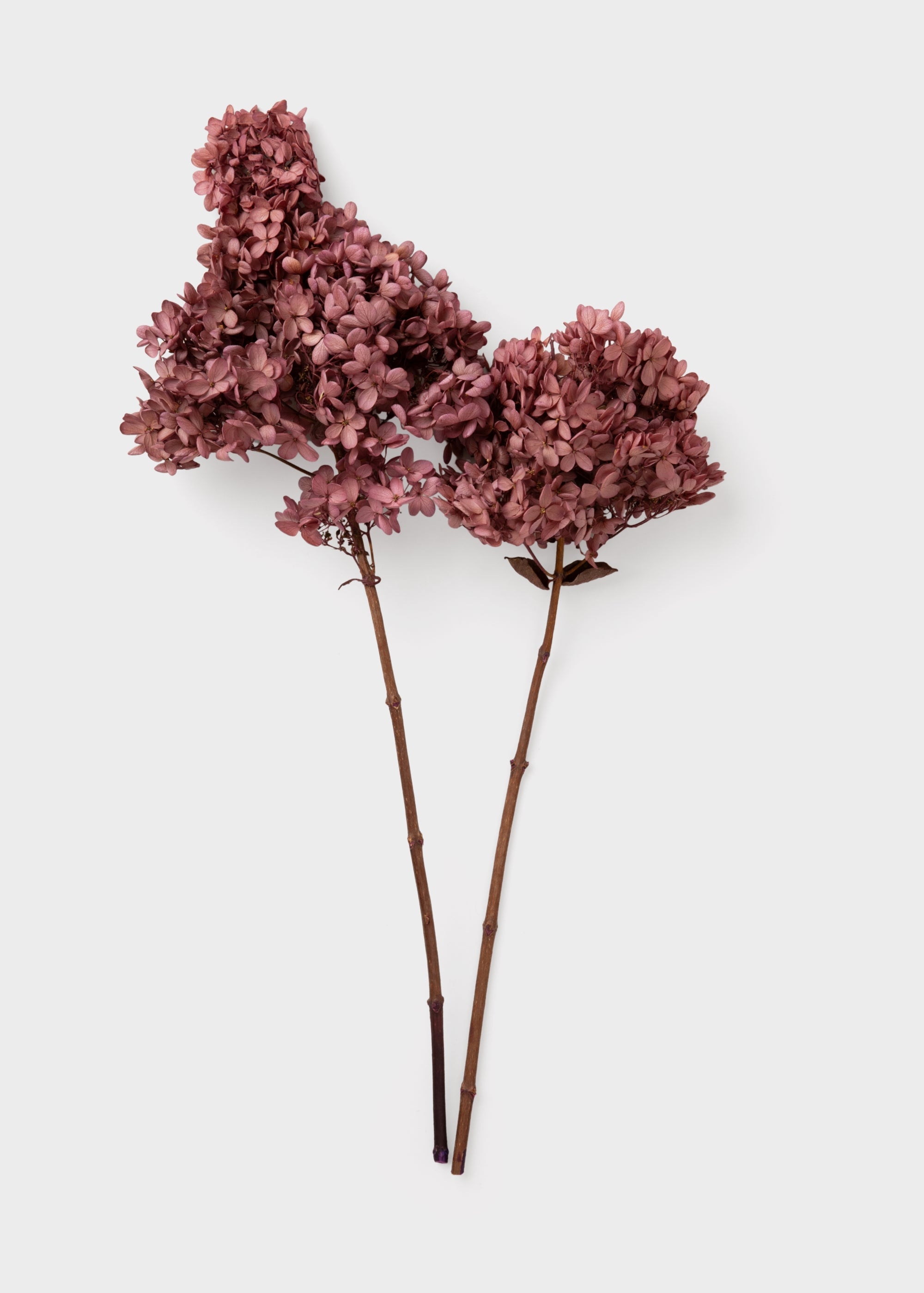 Mauve Faux Hydrangea Stem for Vase and Wedding Styling