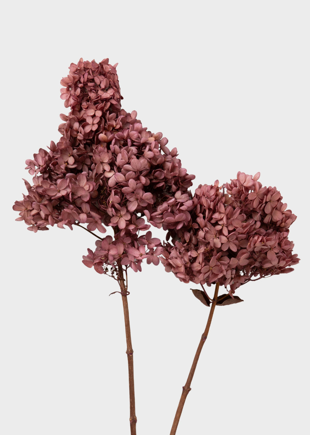 Mauve Faux Hydrangea Stem for Vase and Wedding Styling