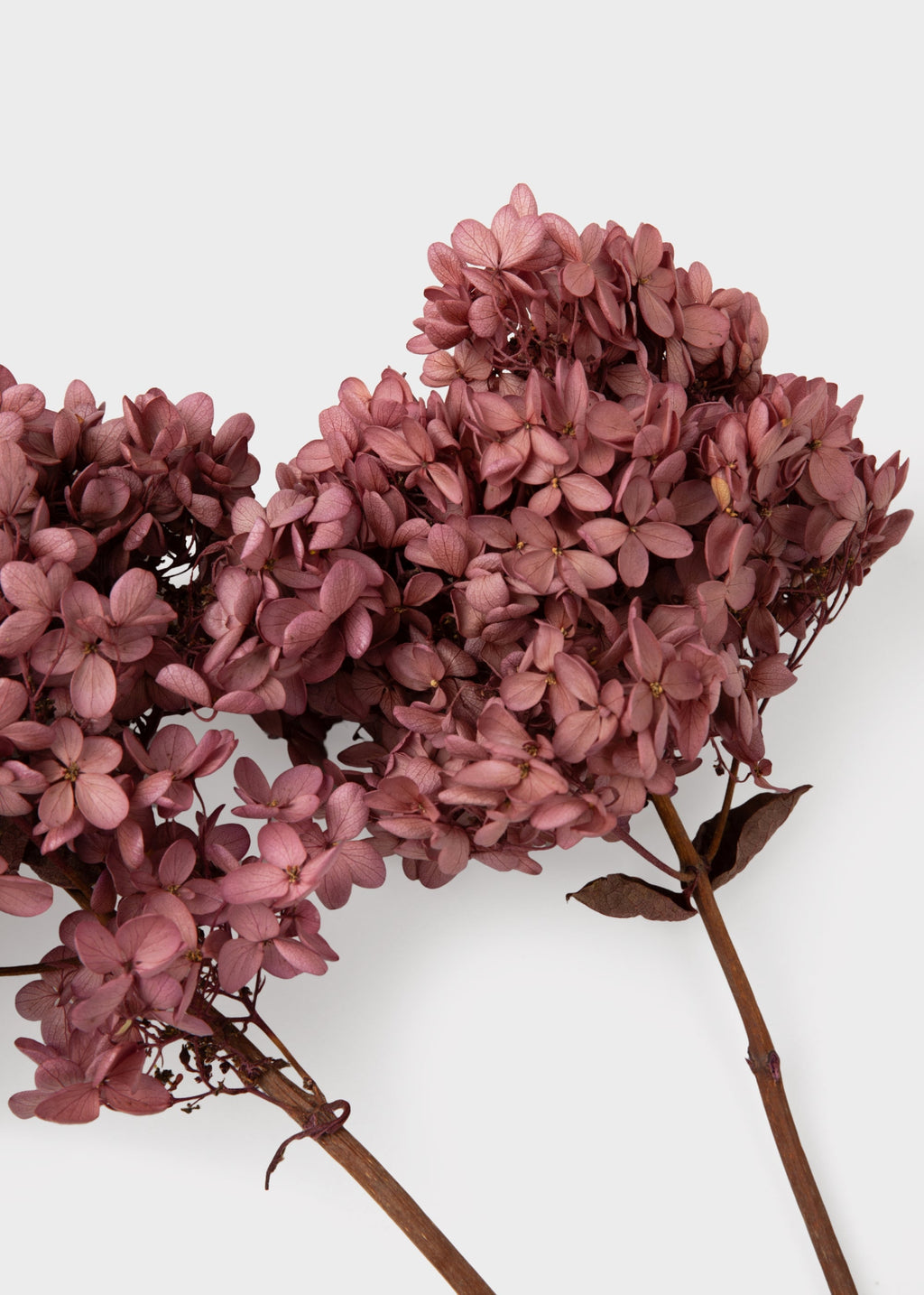 Mauve Faux Hydrangea Stem for Vase and Wedding Styling