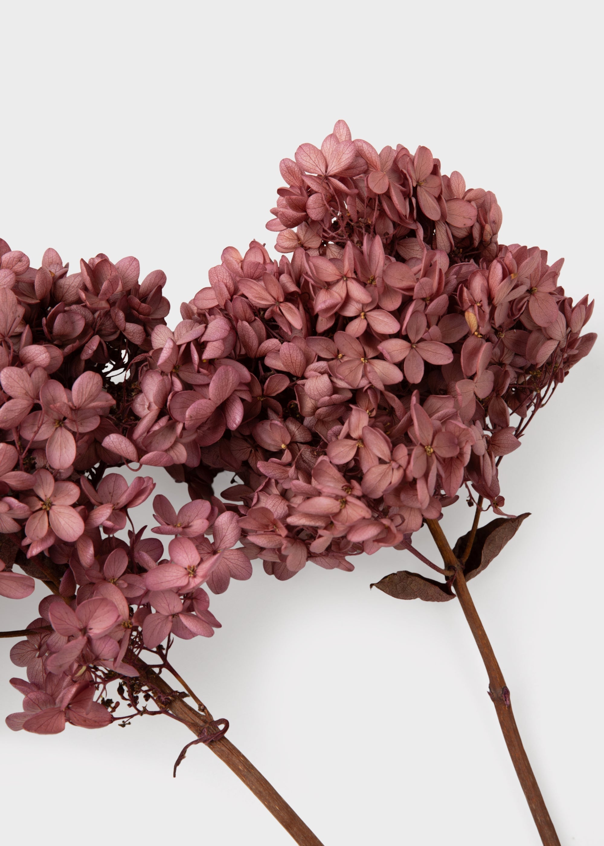 Mauve Faux Hydrangea Stem for Vase and Wedding Styling