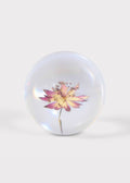 Preserved Purple Head Paperweight for Home Styling